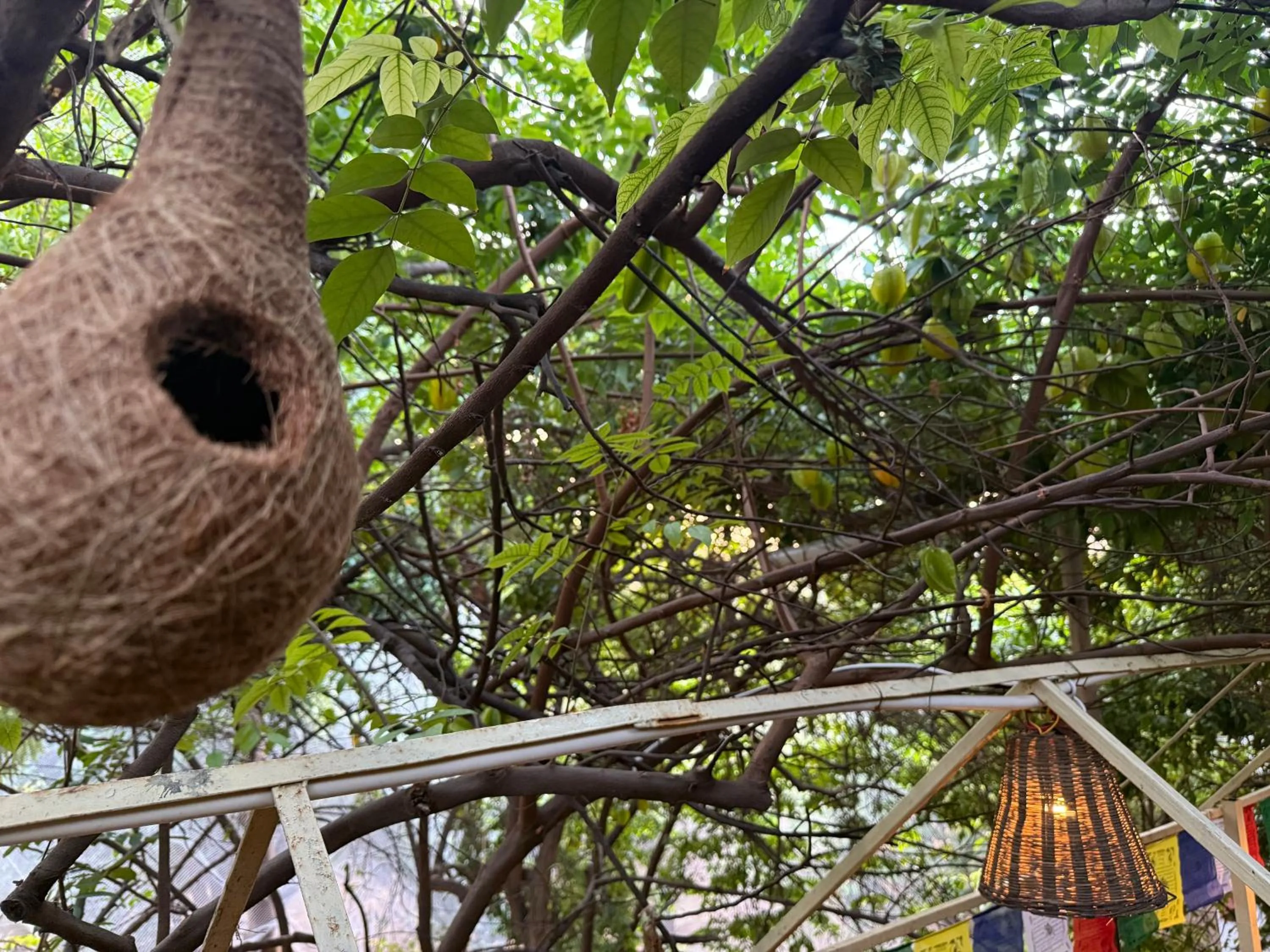 Hotel Green Heaven Resort