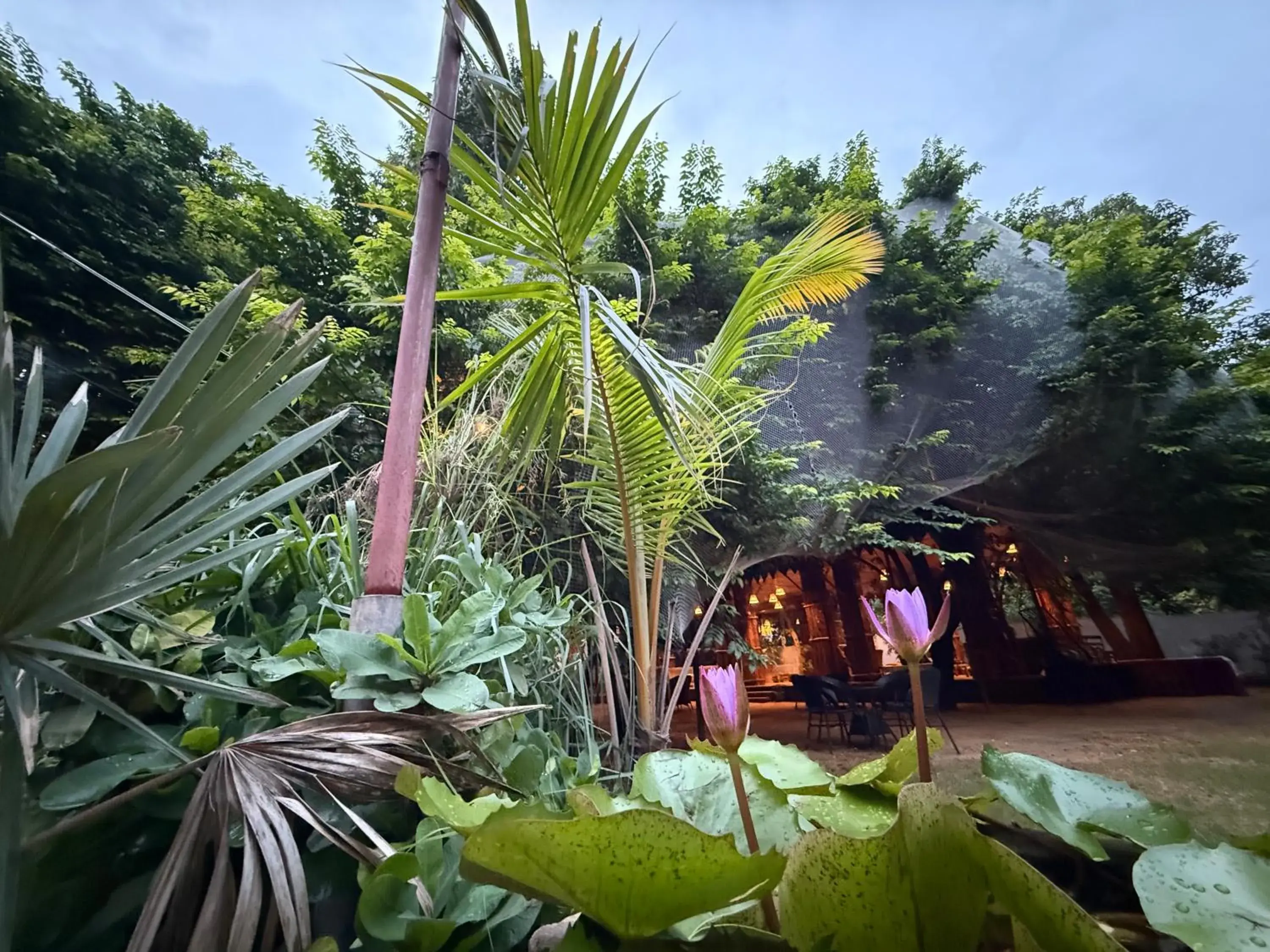 Hotel Green Heaven Resort Hotel Green Heaven Resort