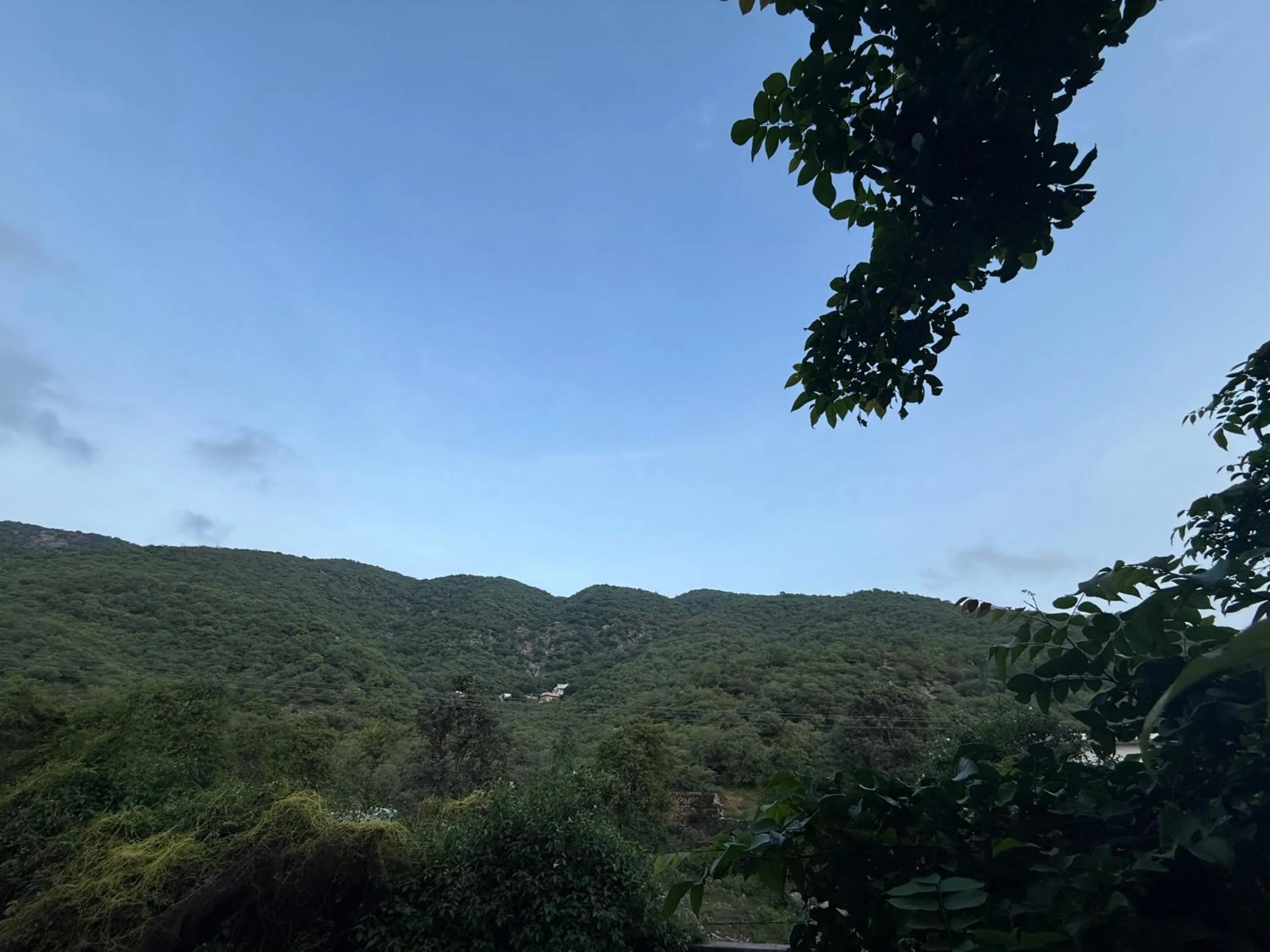 Hotel Green Heaven Resort