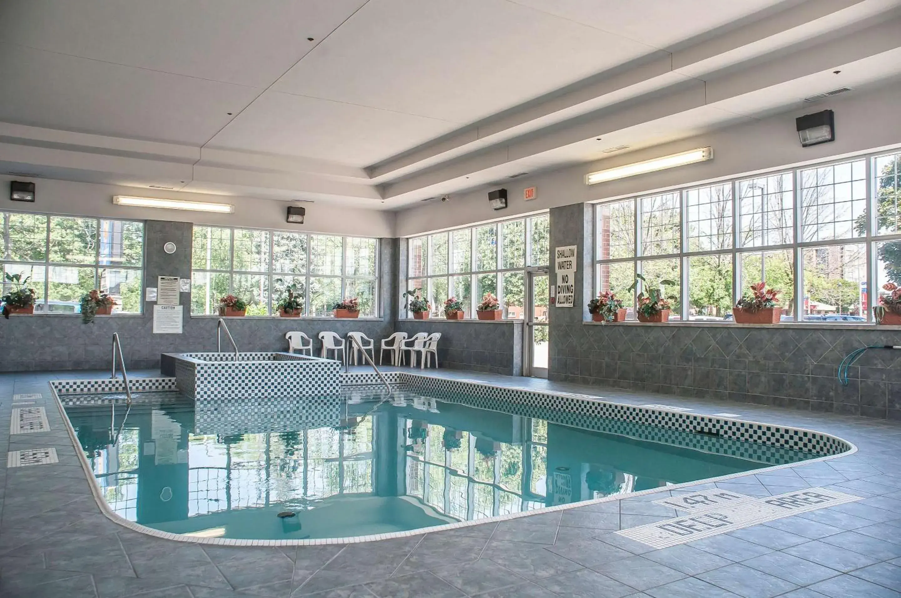 Swimming pool in Comfort Inn Lundy's Lane Swimming pool in Comfort Inn Lundy's Lane