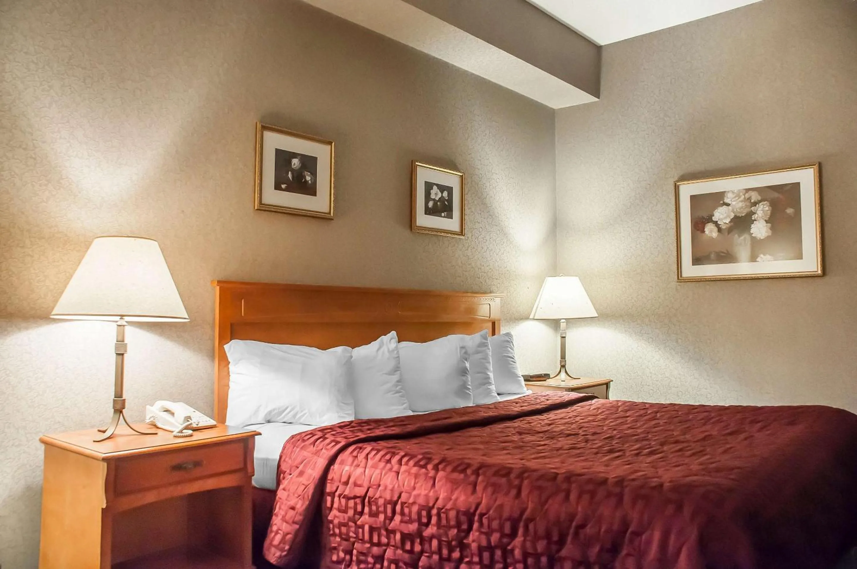 Bedroom, Bed in Comfort Inn Lundy's Lane