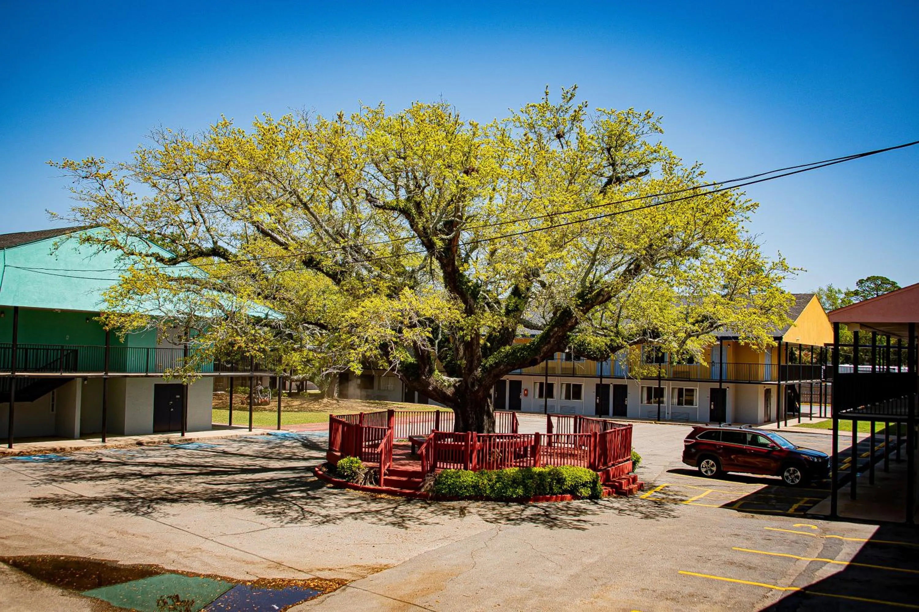 Super 8 by Wyndham Biloxi