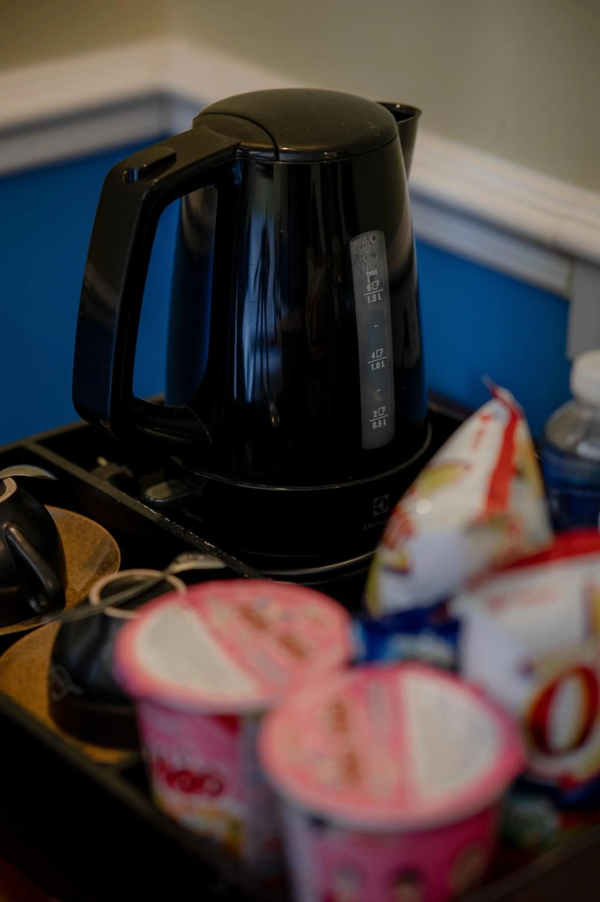 Kitchen or kitchenette in Ladybird Boutique Hotel