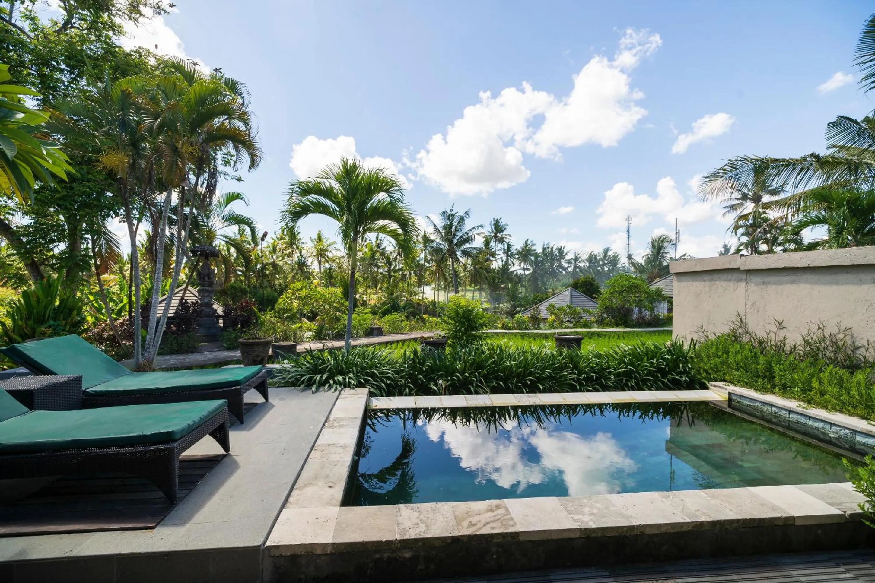 Natural landscape in Amatara Agung Raka