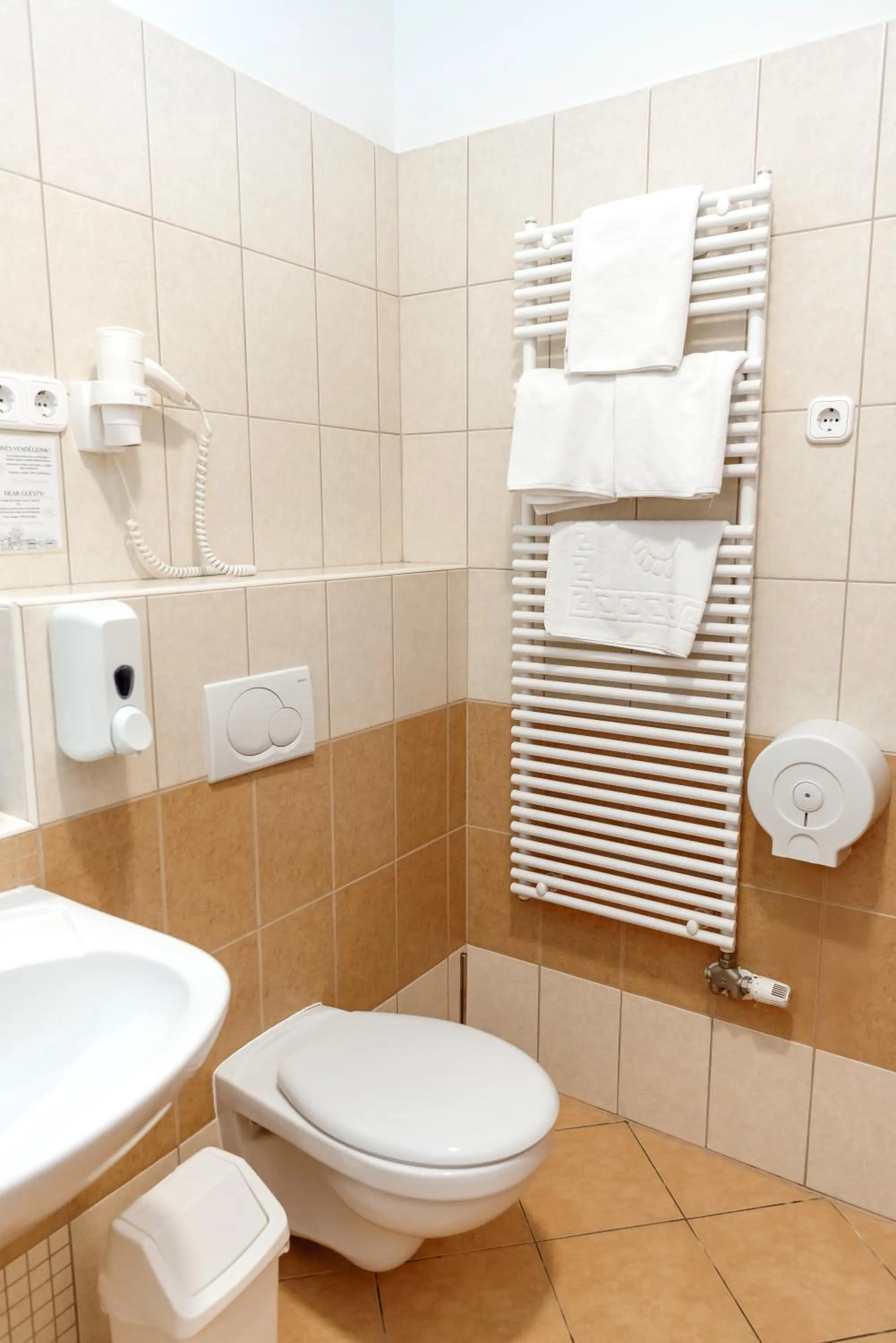 Bathroom in Hotel Anna Villa