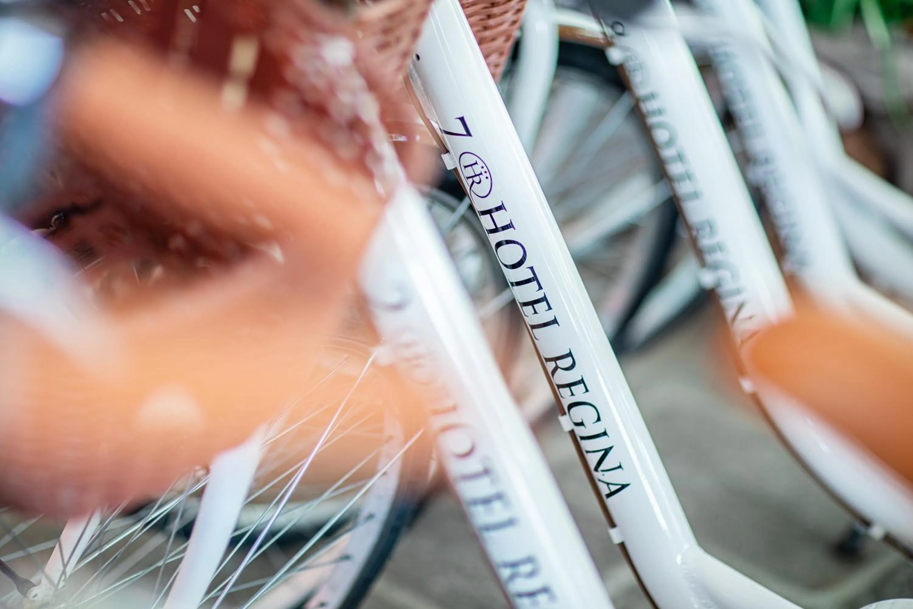 Sports in Hotel Regina