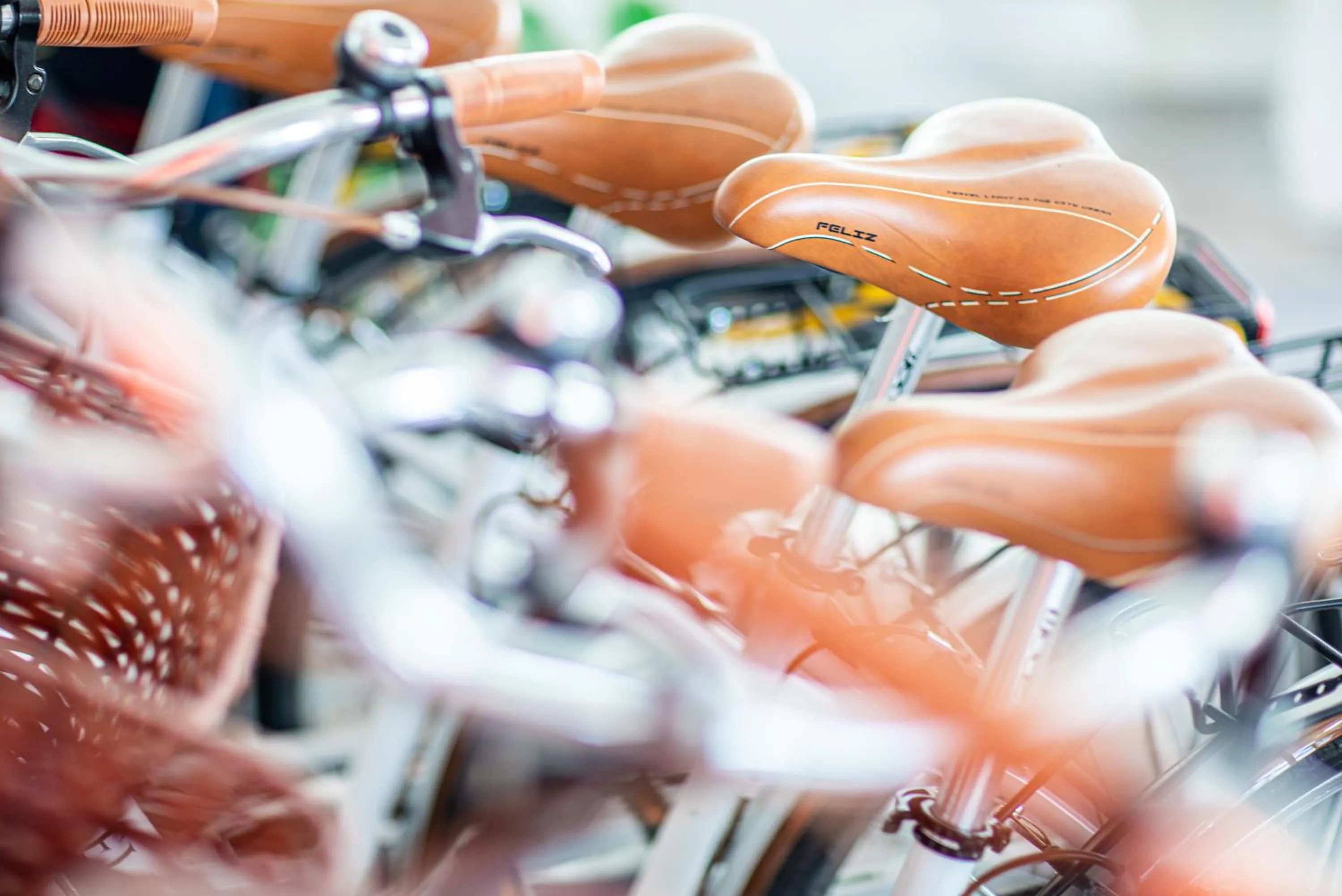 Sports in Hotel Regina