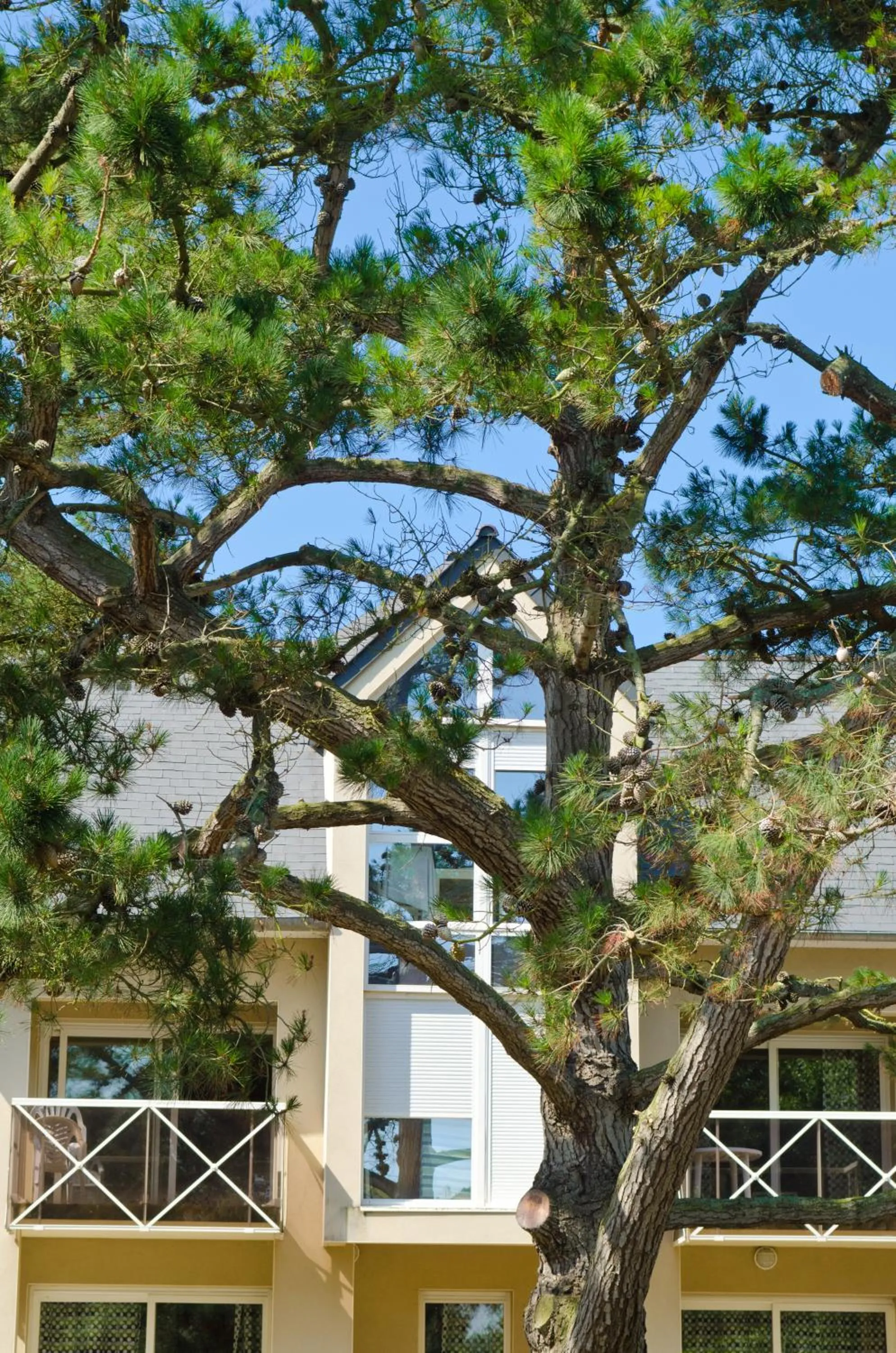Facade/entrance in Résidence Néméa Kermael