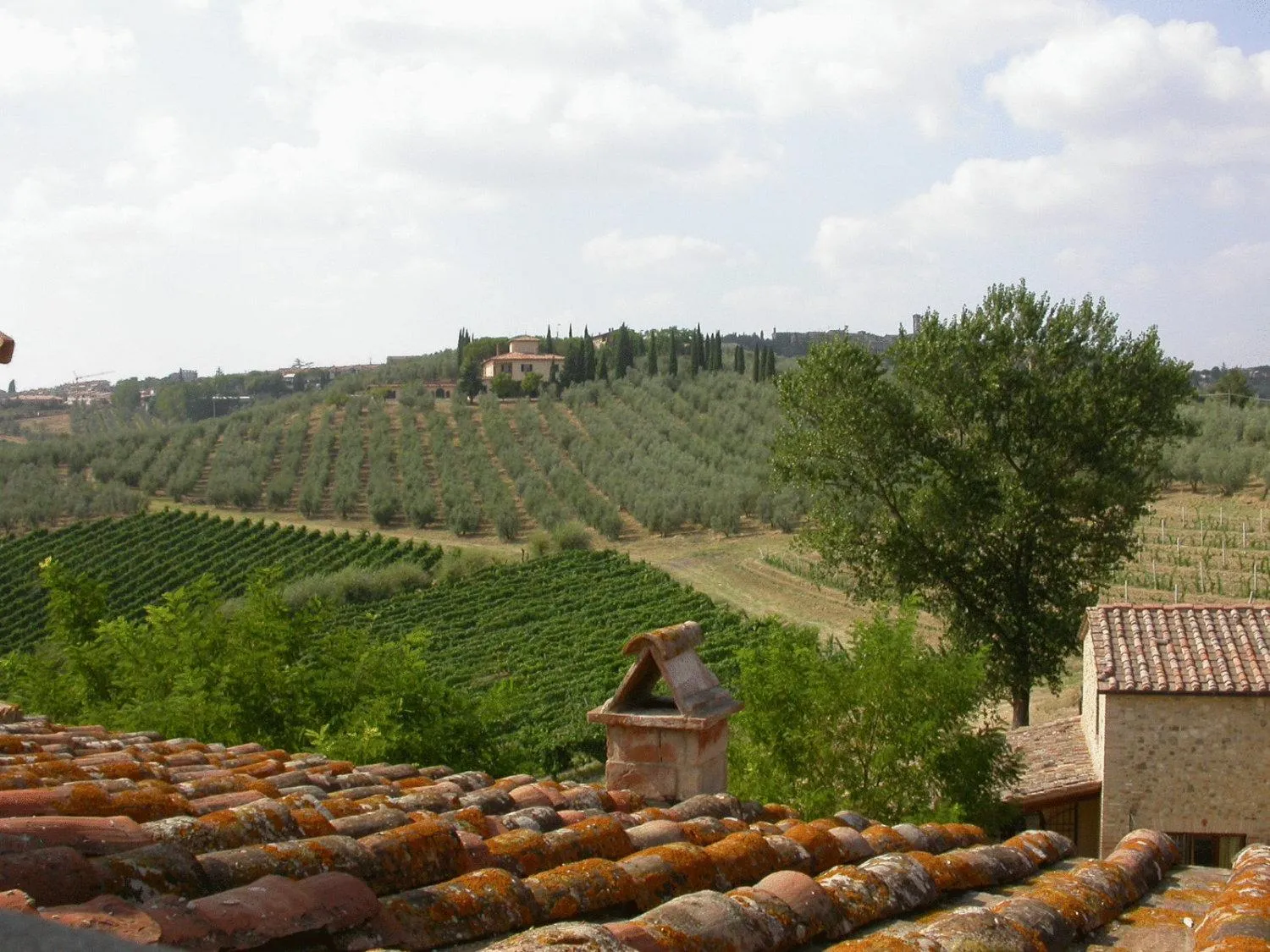 View (from property/room) in Agriturismo Torraiolo