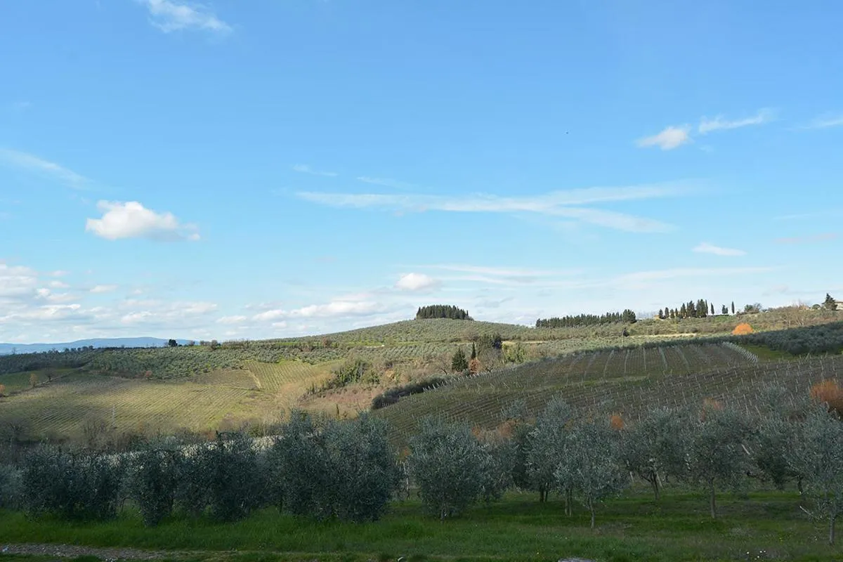 Natural landscape in Agriturismo Torraiolo