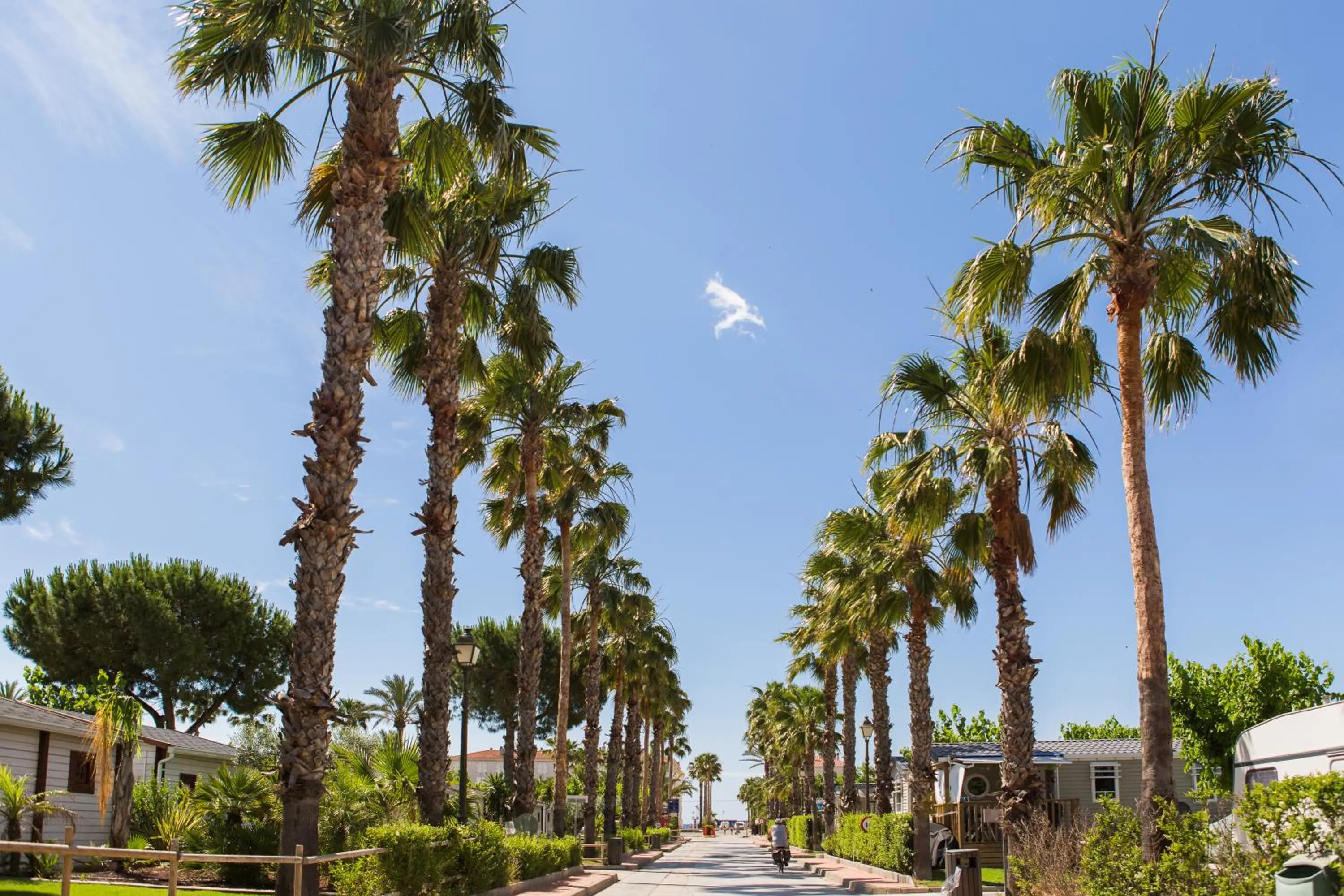 Camping Estival Vendrell Platja