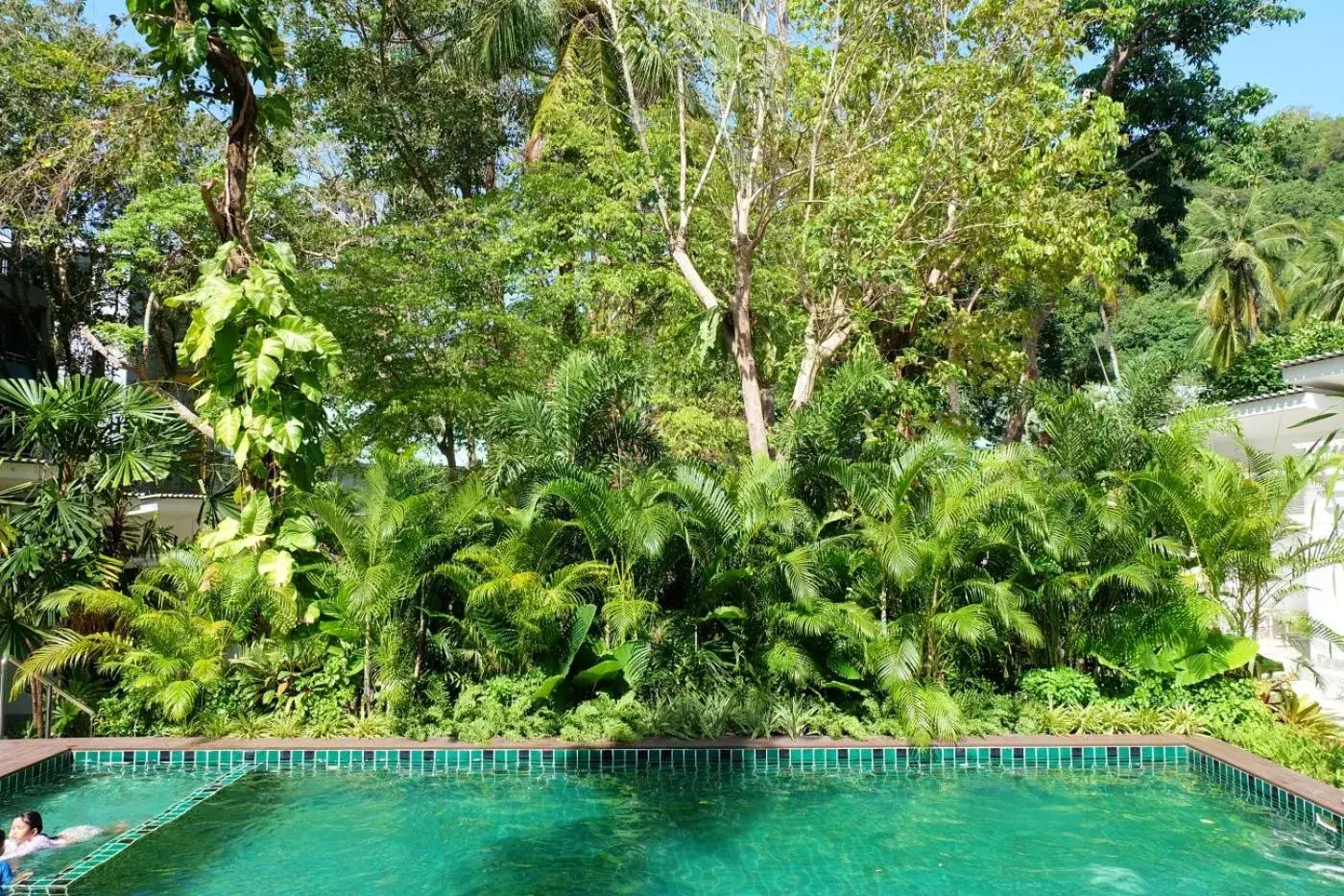 Swimming pool in Whalecome Aonang Resort-SHA Extra Plus Swimming pool in Whalecome Aonang Resort-SHA Extra Plus