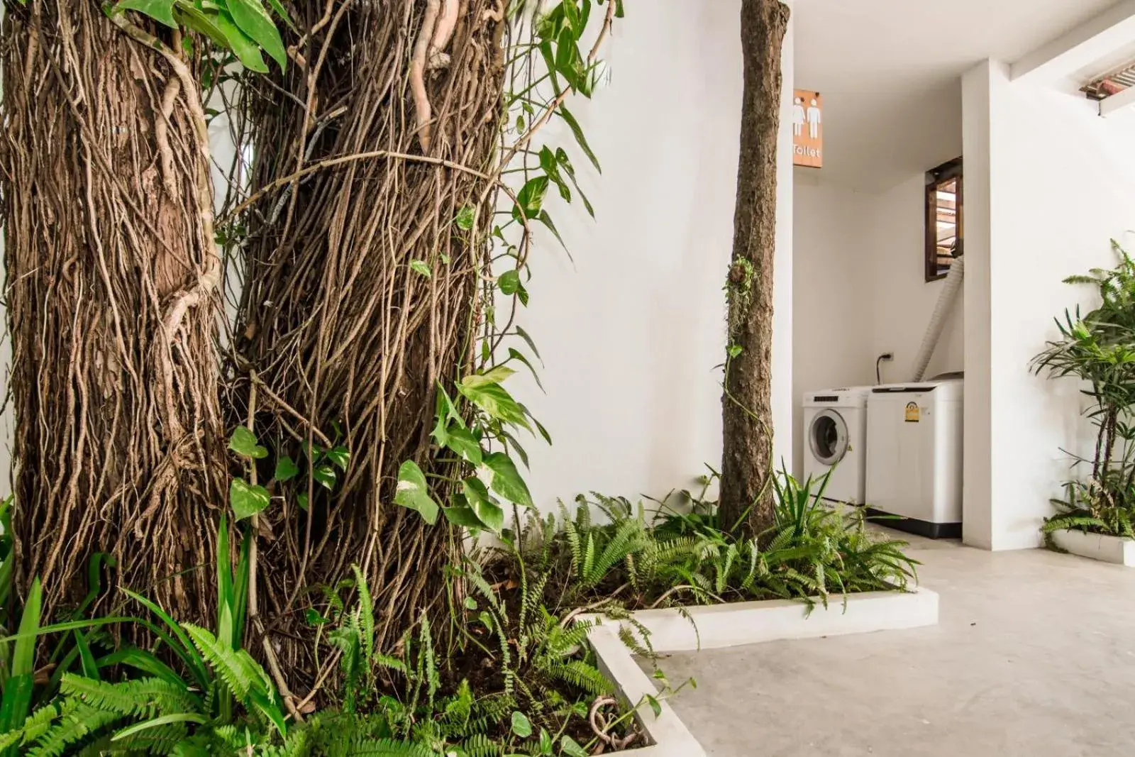 Lobby or reception in Whalecome Aonang Resort-SHA Extra Plus Lobby or reception in Whalecome Aonang Resort-SHA Extra Plus