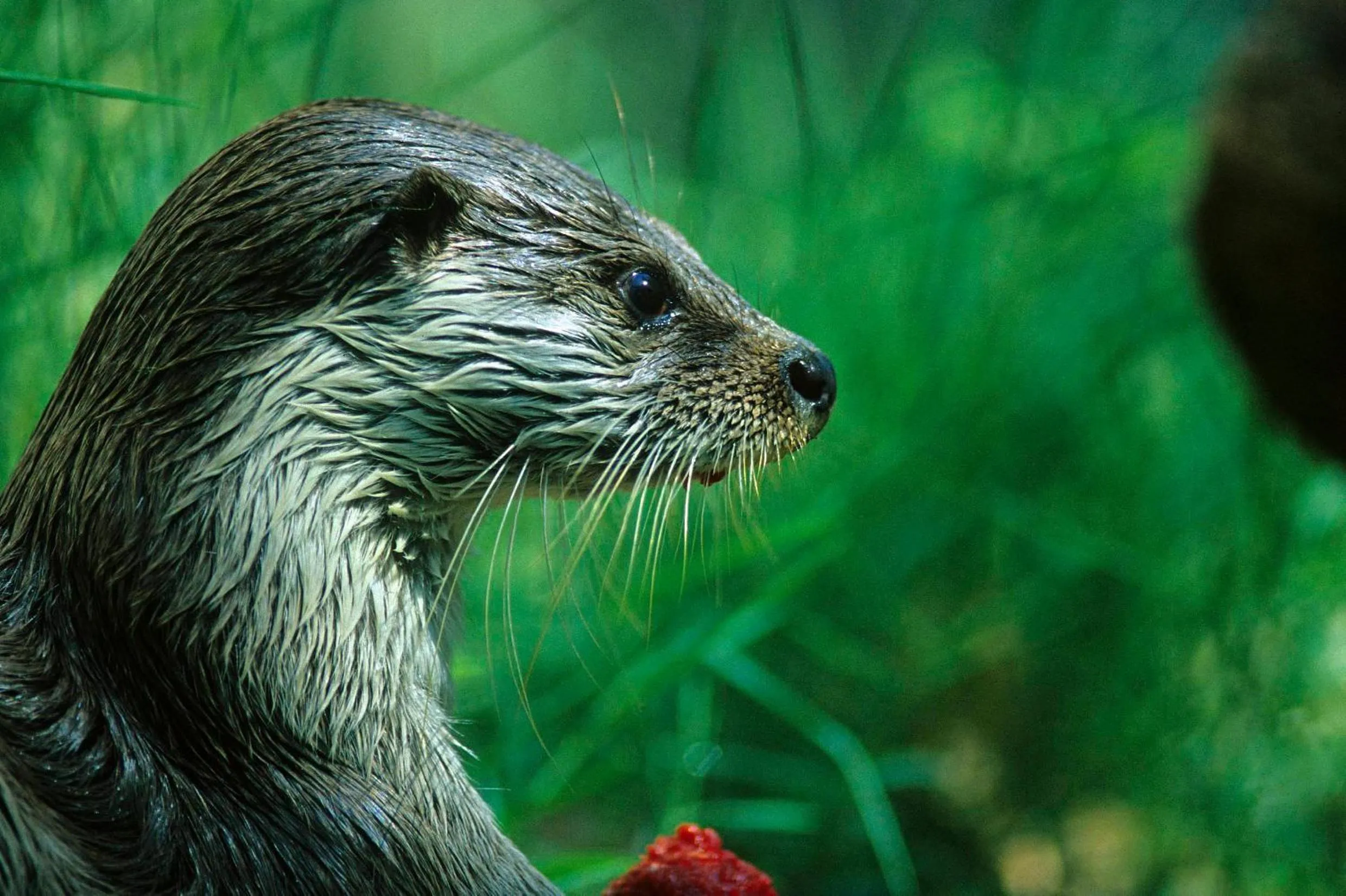 Other in Doña Ruidera