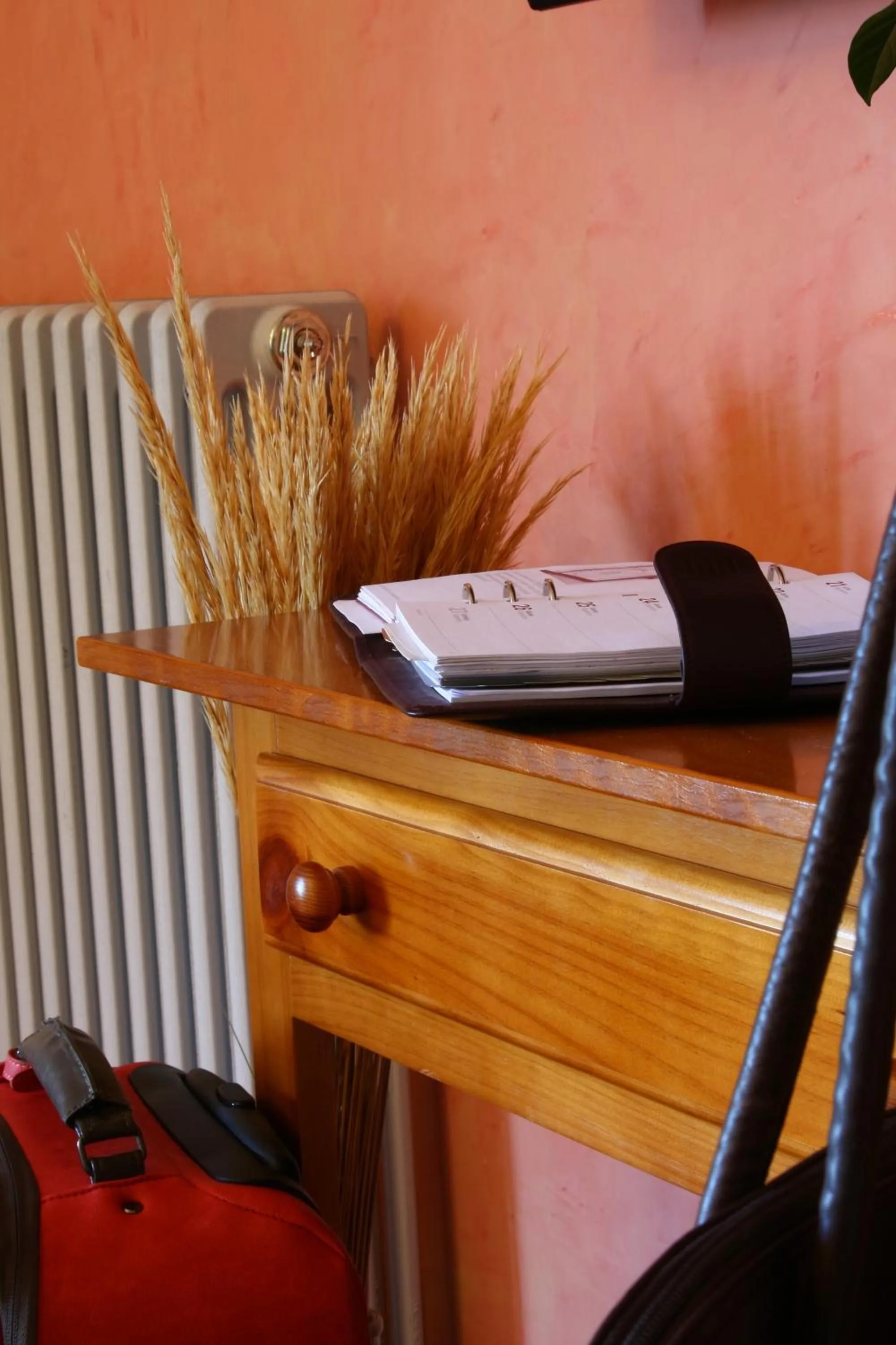 Other in Doña Ruidera