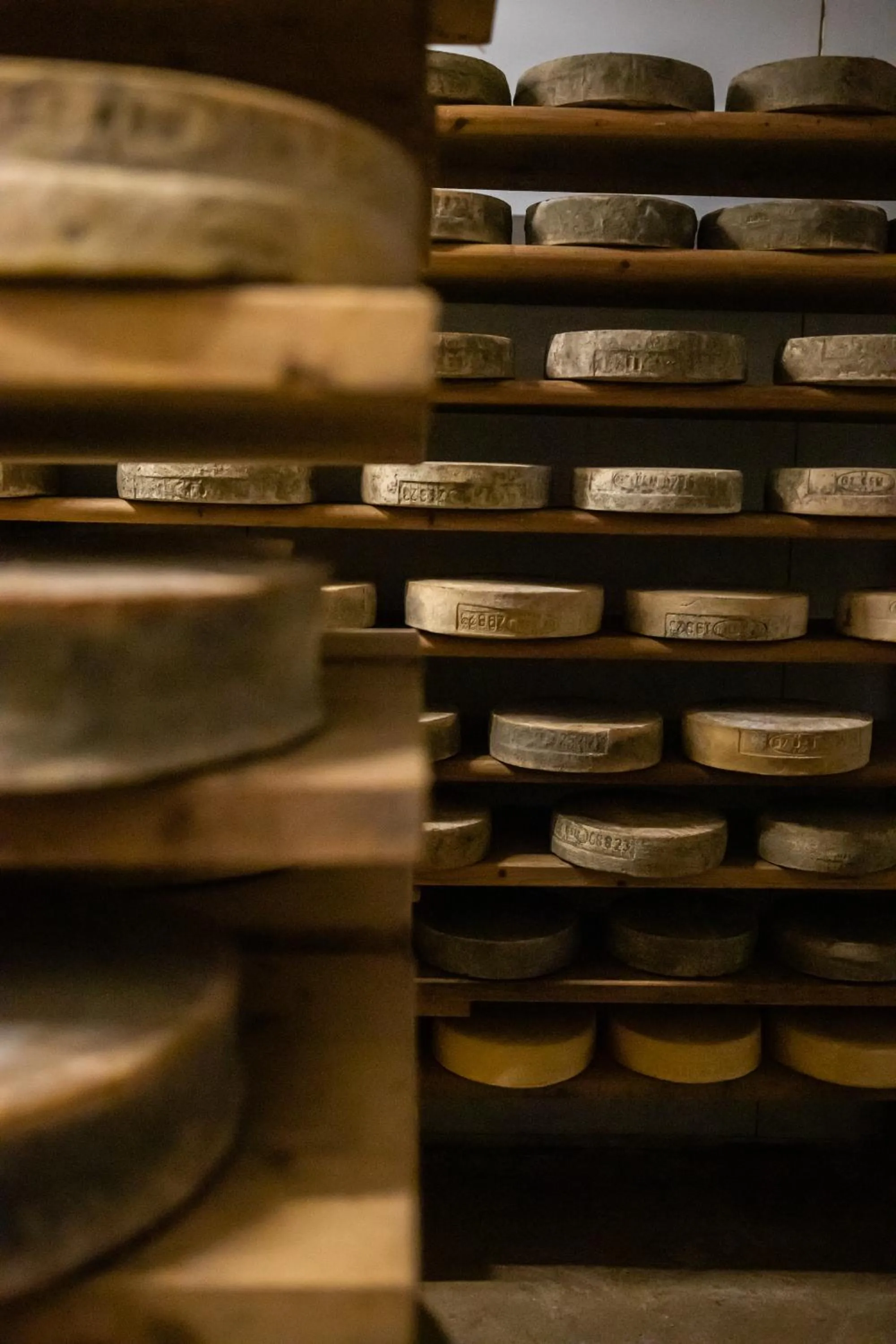 Activities in Agriturismo Rini