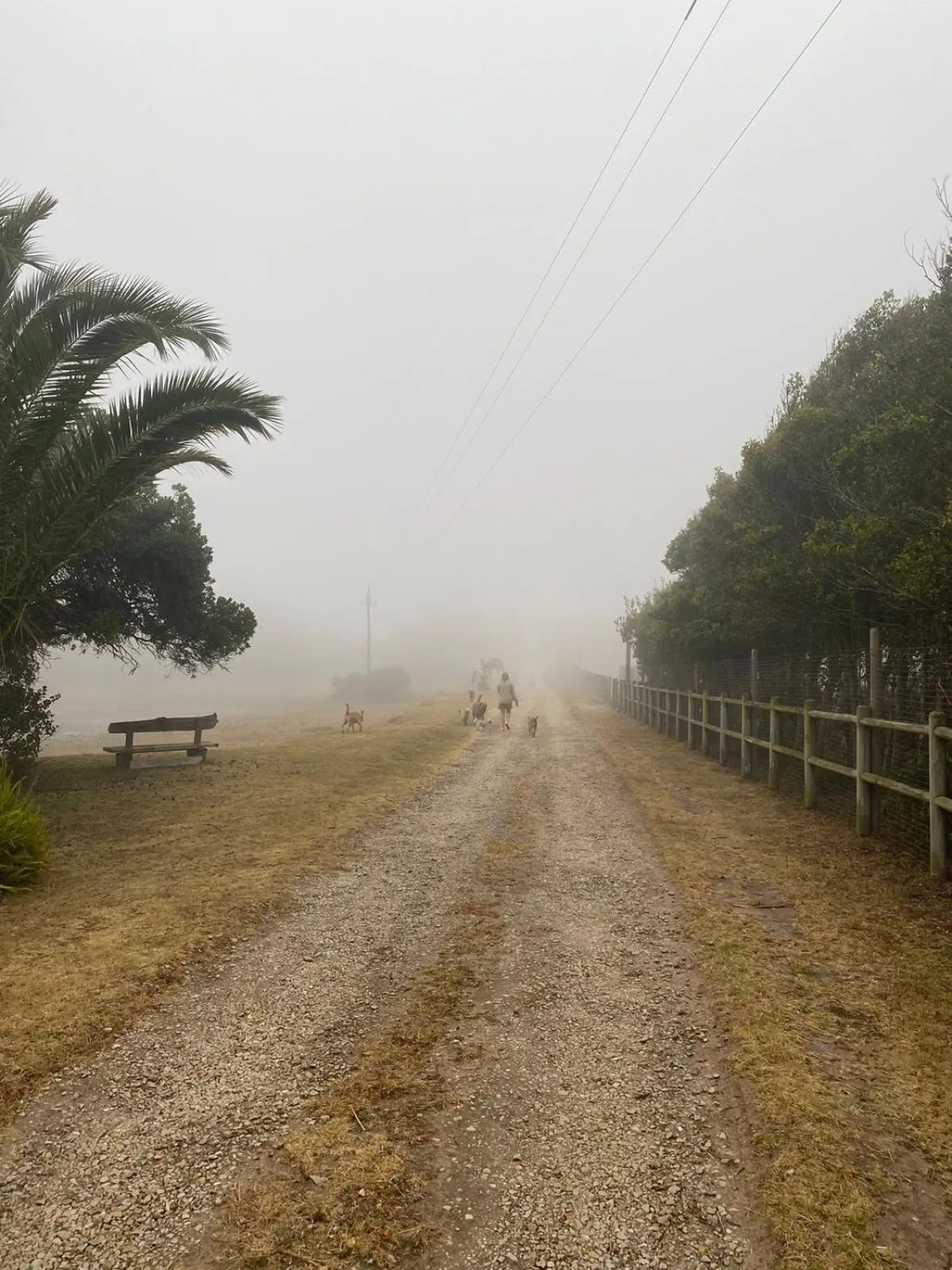 Natural landscape in Stoneridge farm