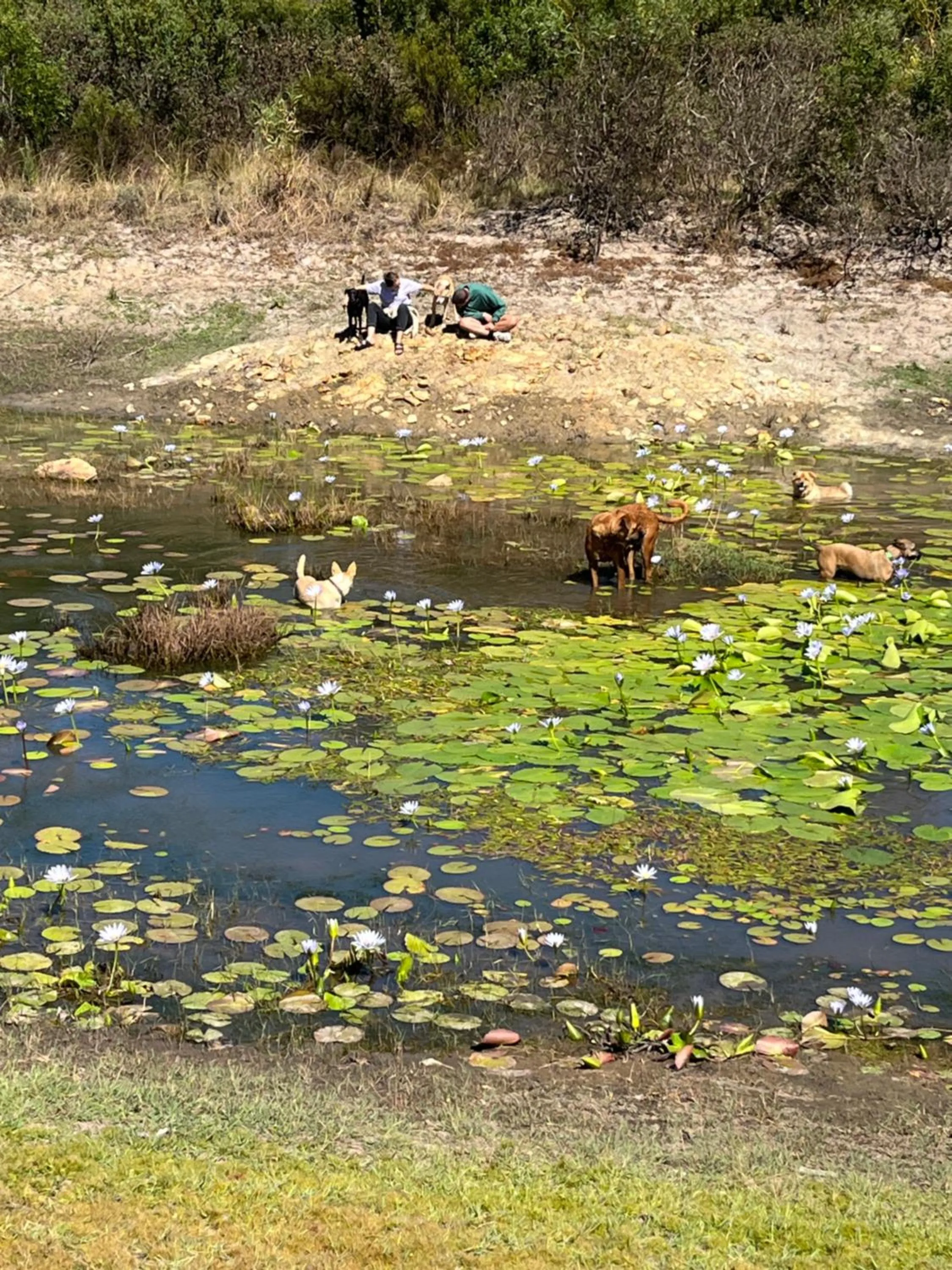 Day in Stoneridge farm