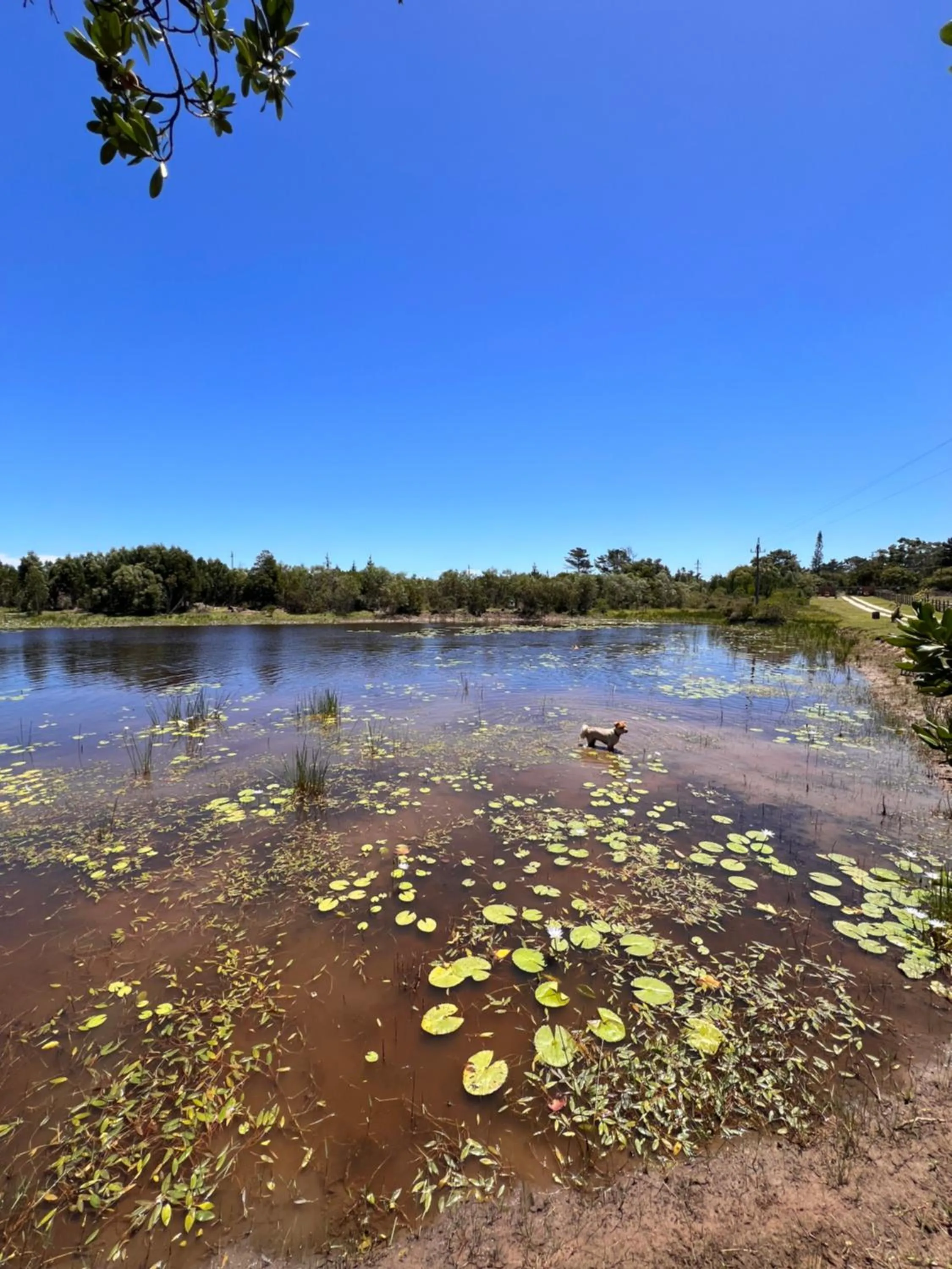 Day in Stoneridge farm
