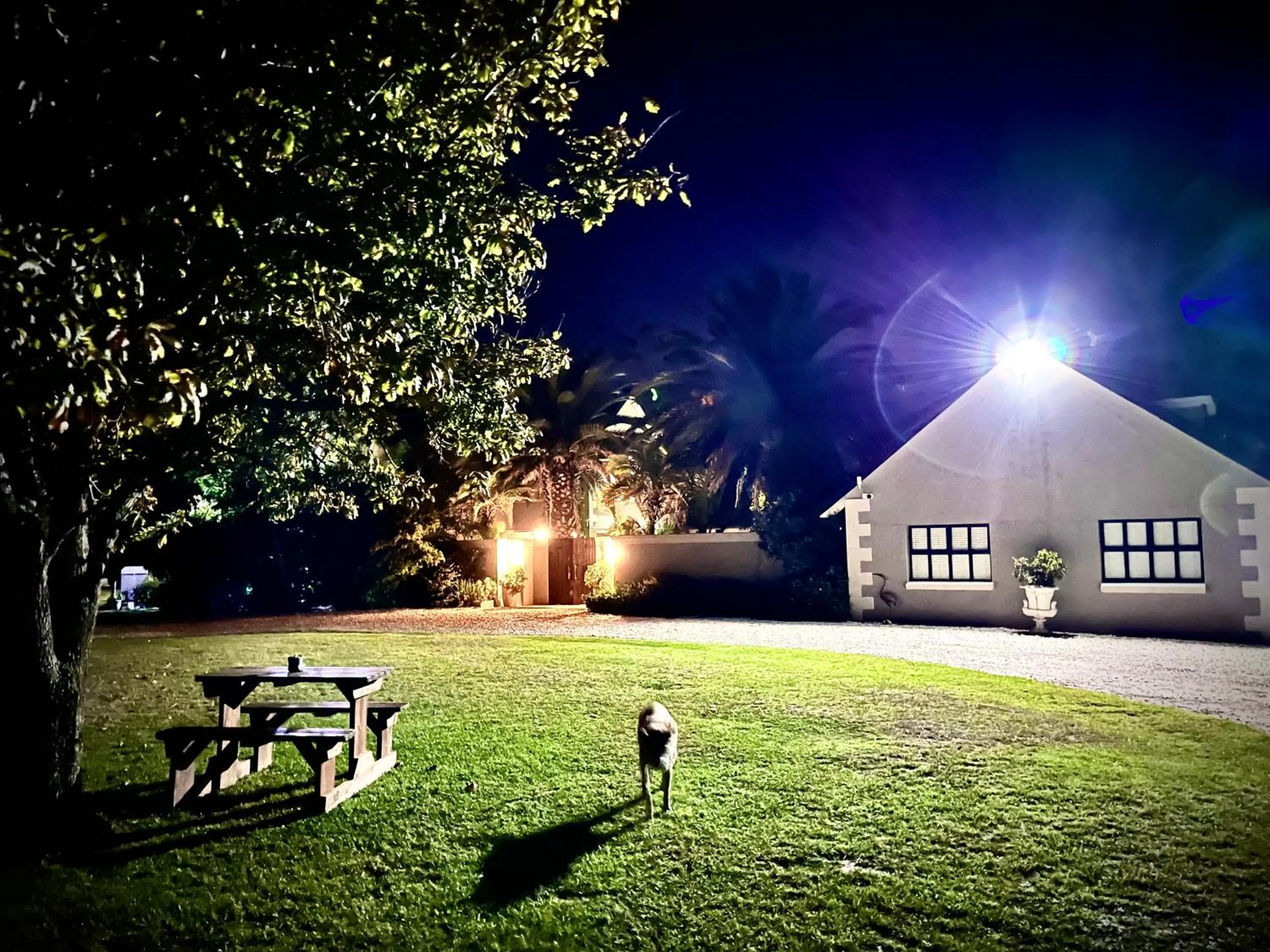 Property building in Stoneridge farm