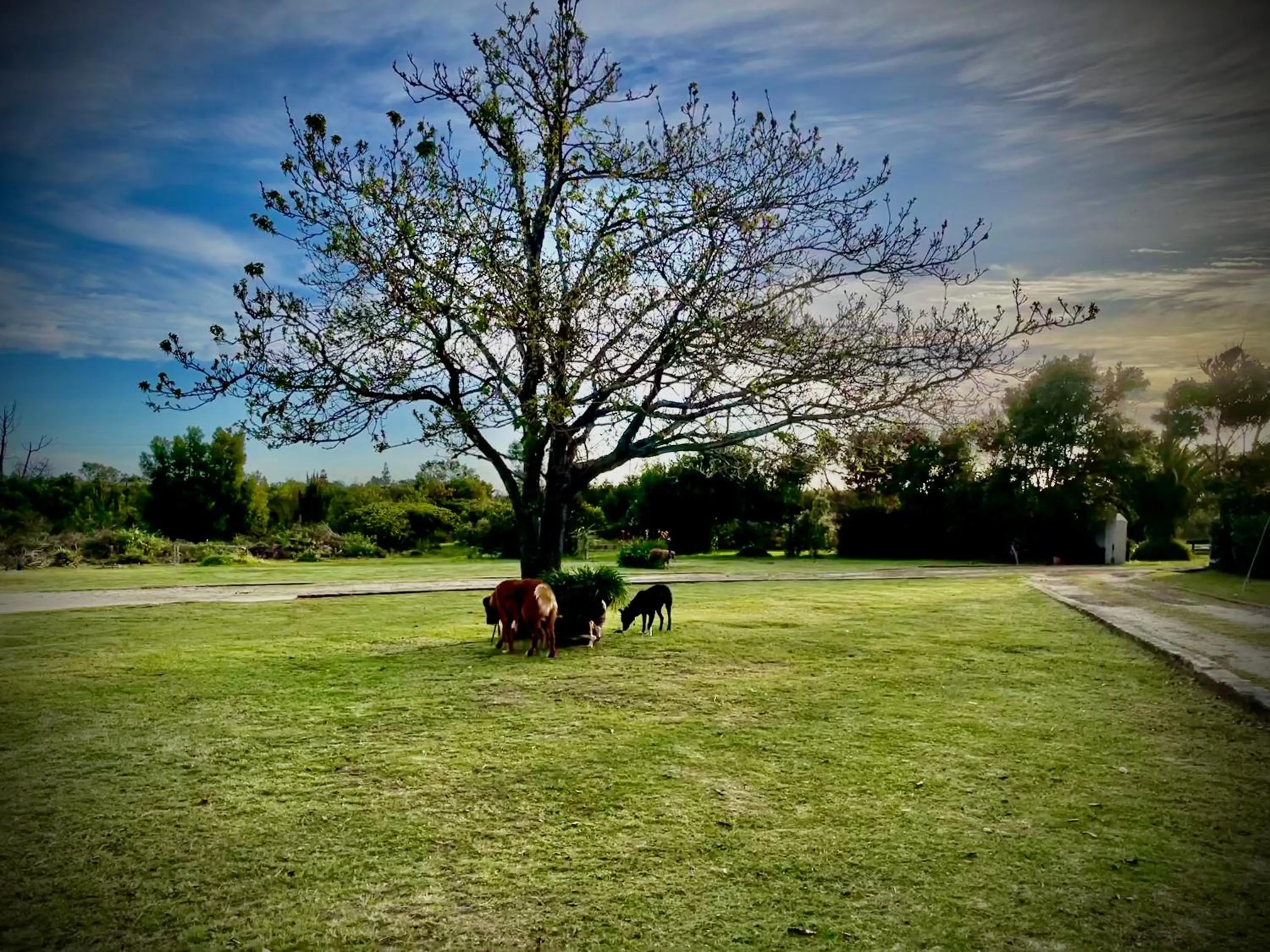 Natural landscape in Stoneridge farm