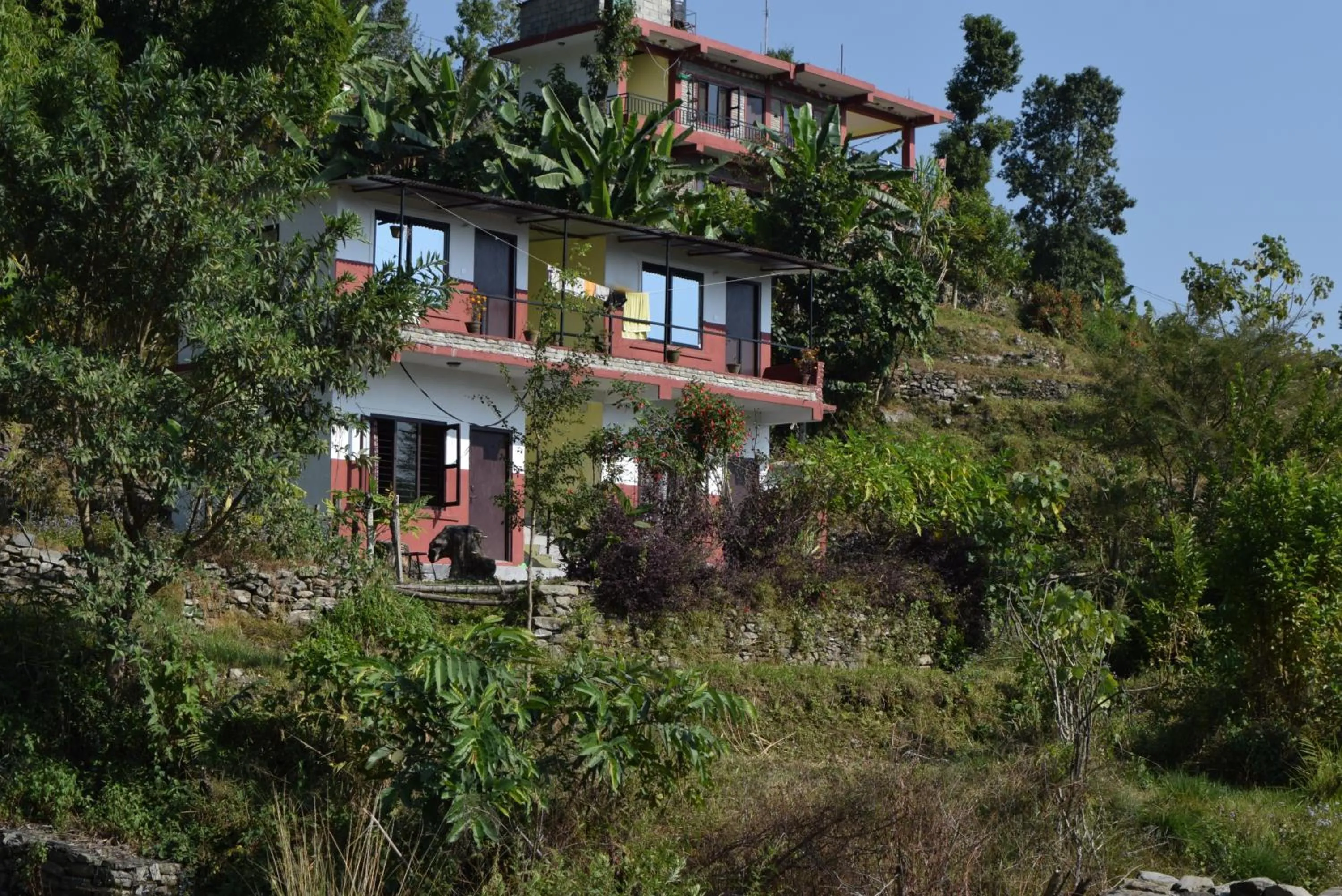 Gorgeous Village Guest House