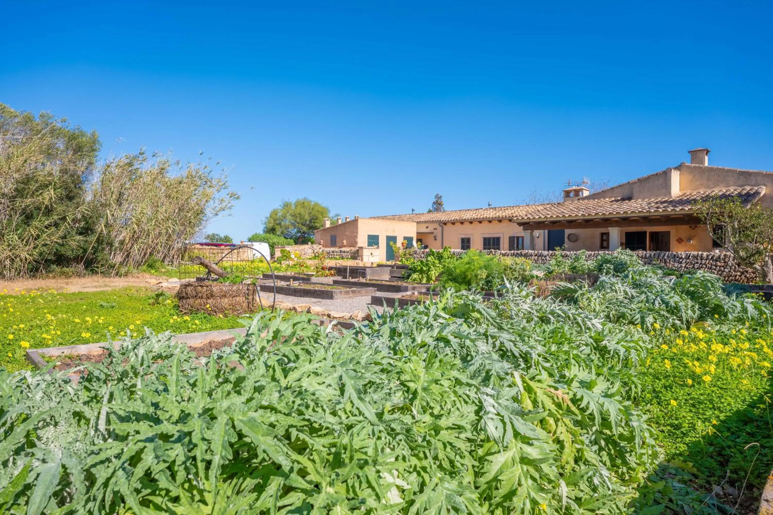Garden in Agroturismo Mondrago -Antic Na Martina-