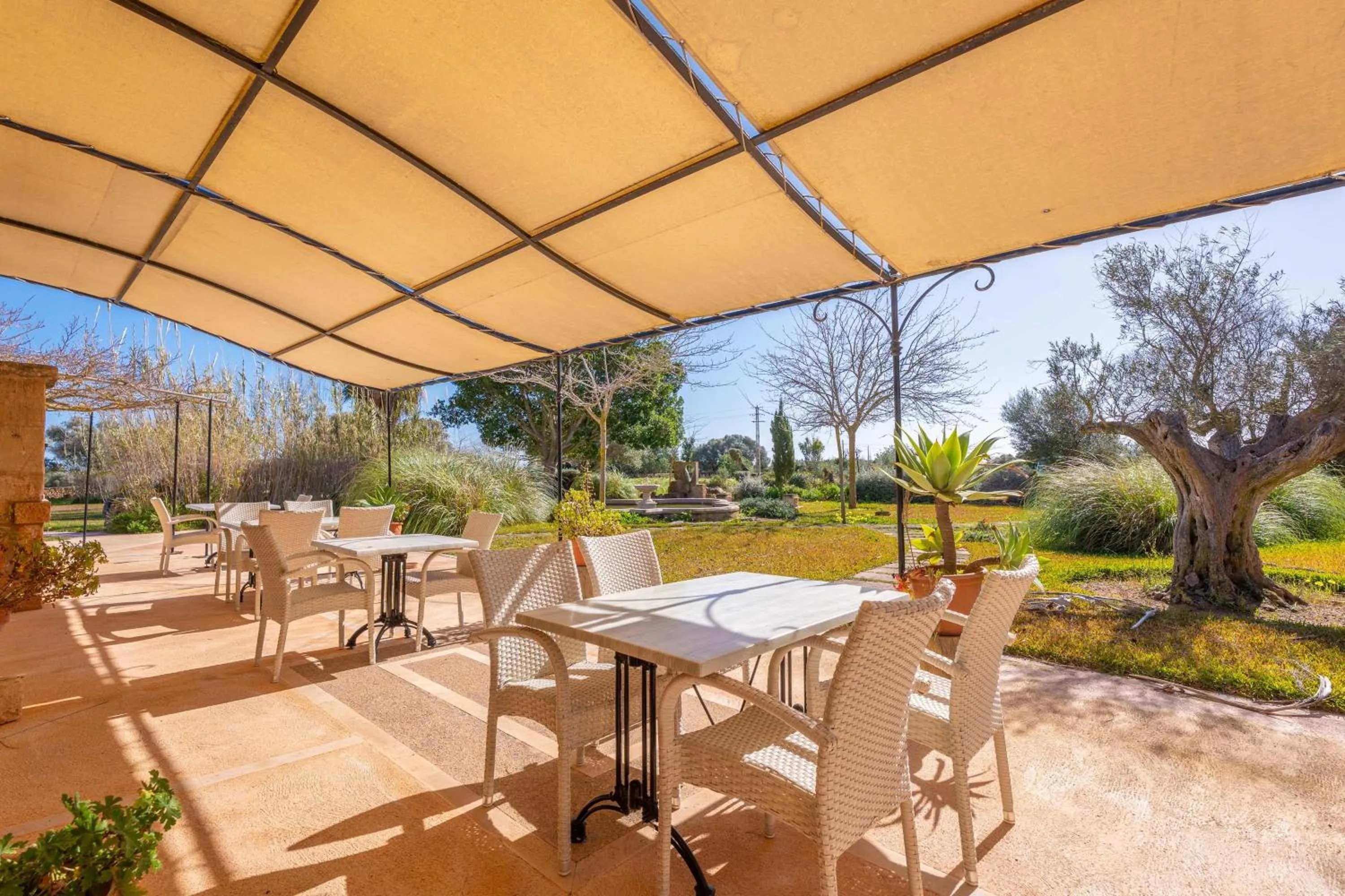 Garden view in Agroturismo Mondrago -Antic Na Martina-