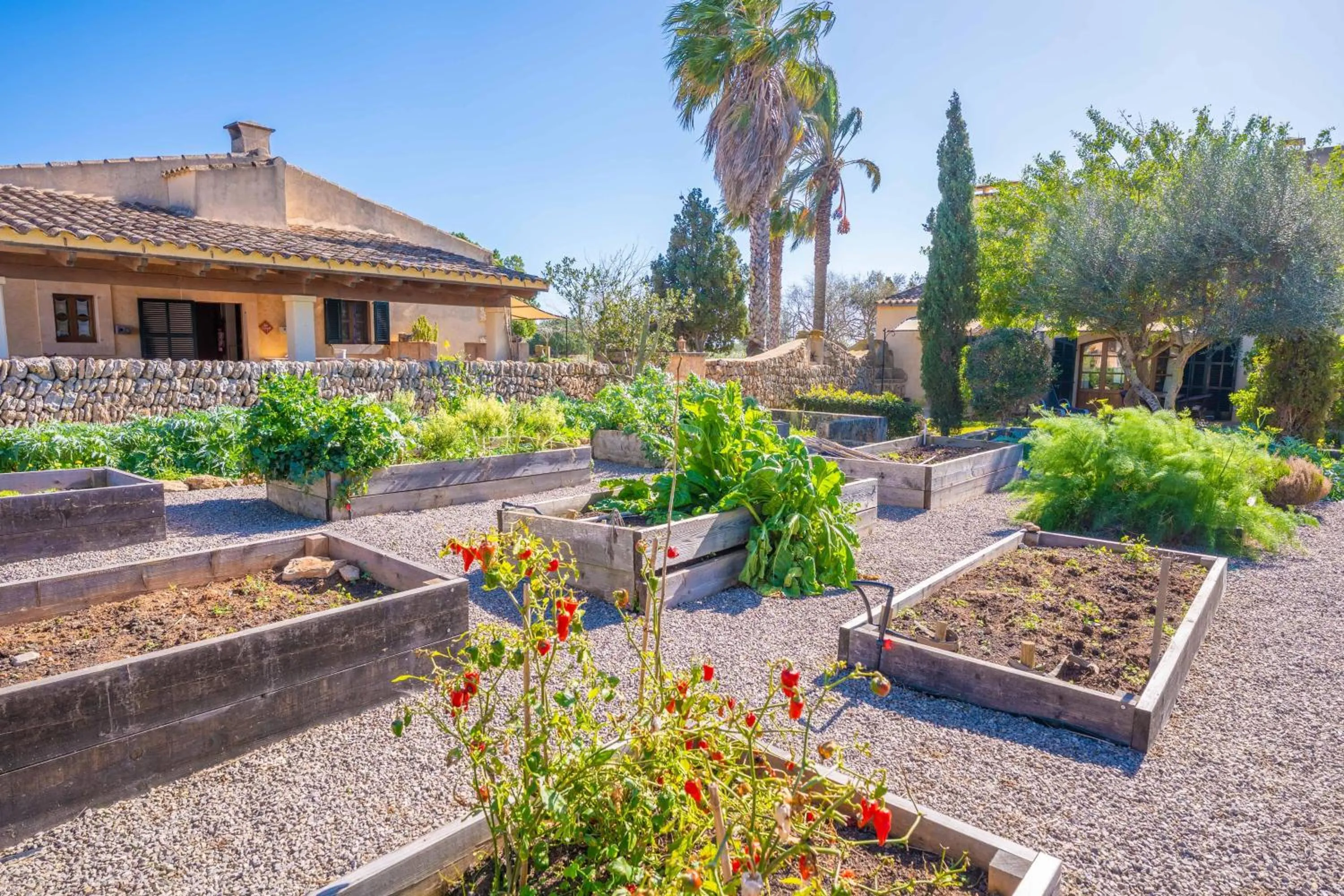 Property building in Agroturismo Mondrago -Antic Na Martina-