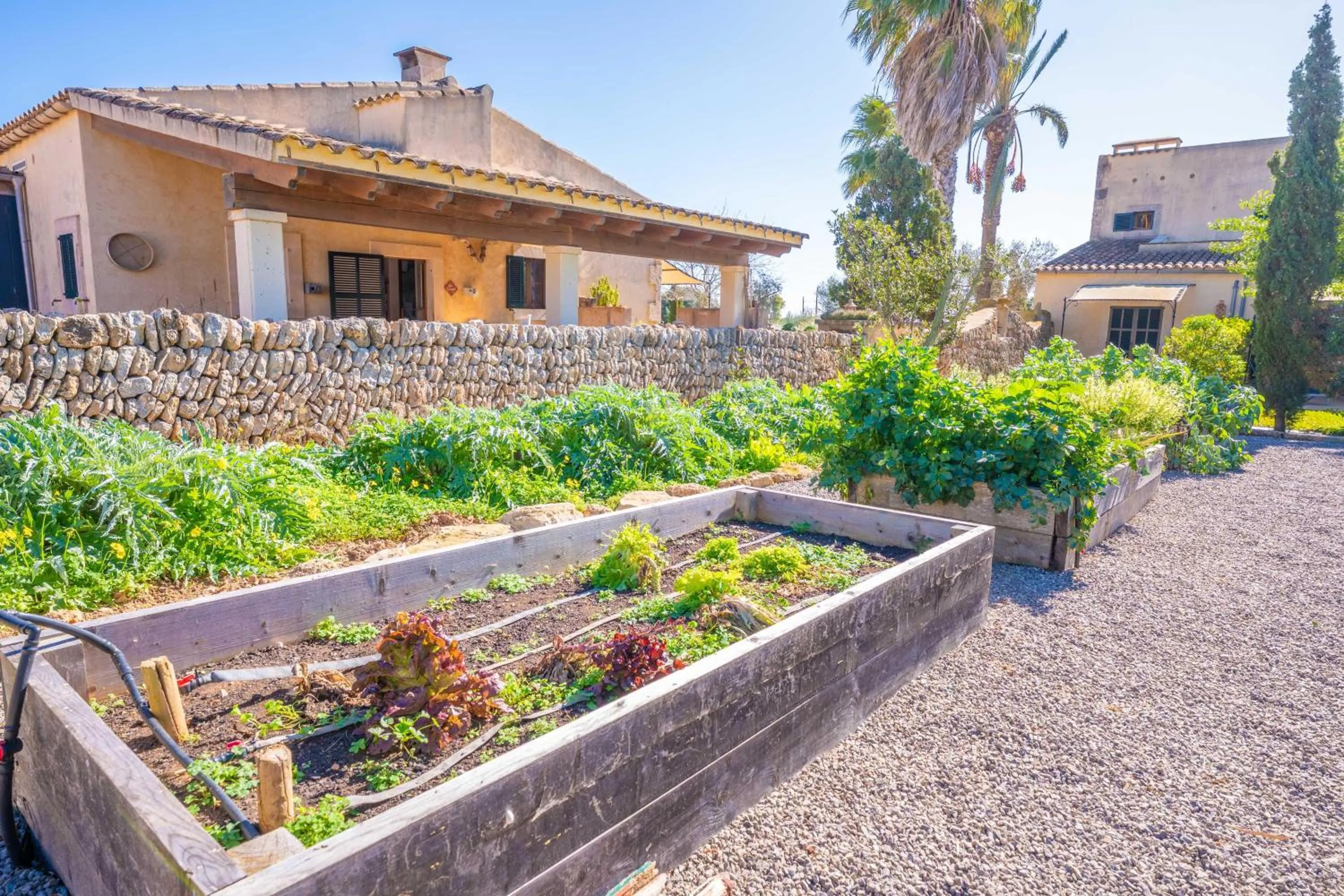 Garden in Agroturismo Mondrago -Antic Na Martina-