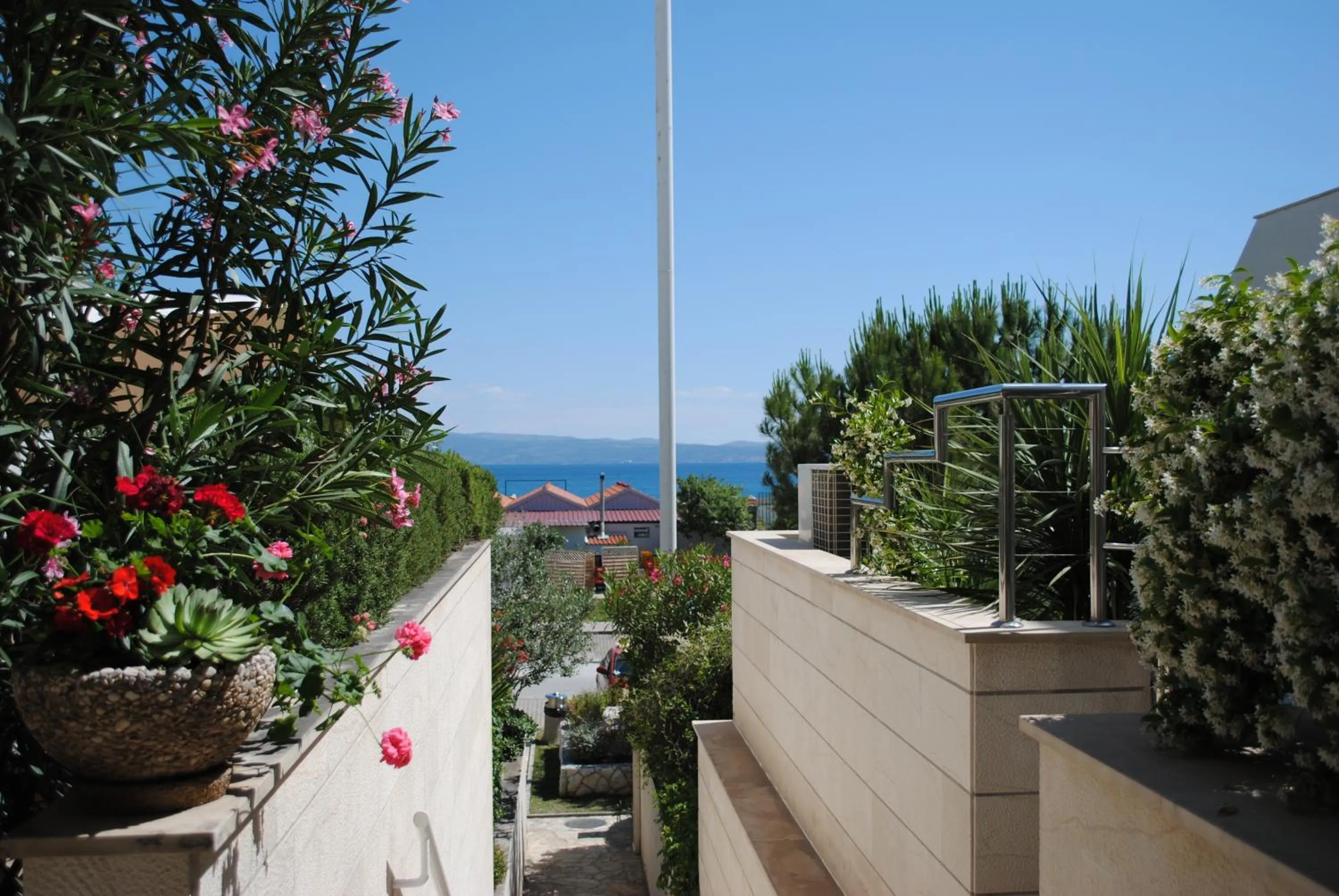 Summer in Hotel More