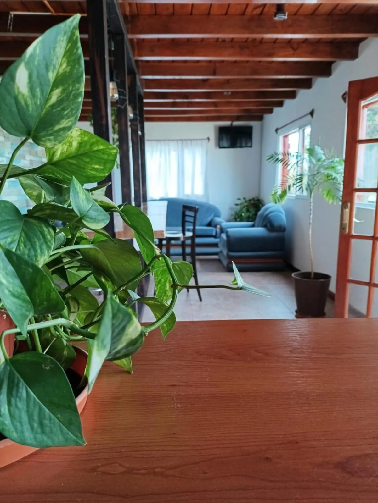 Living room in Los Fresnos