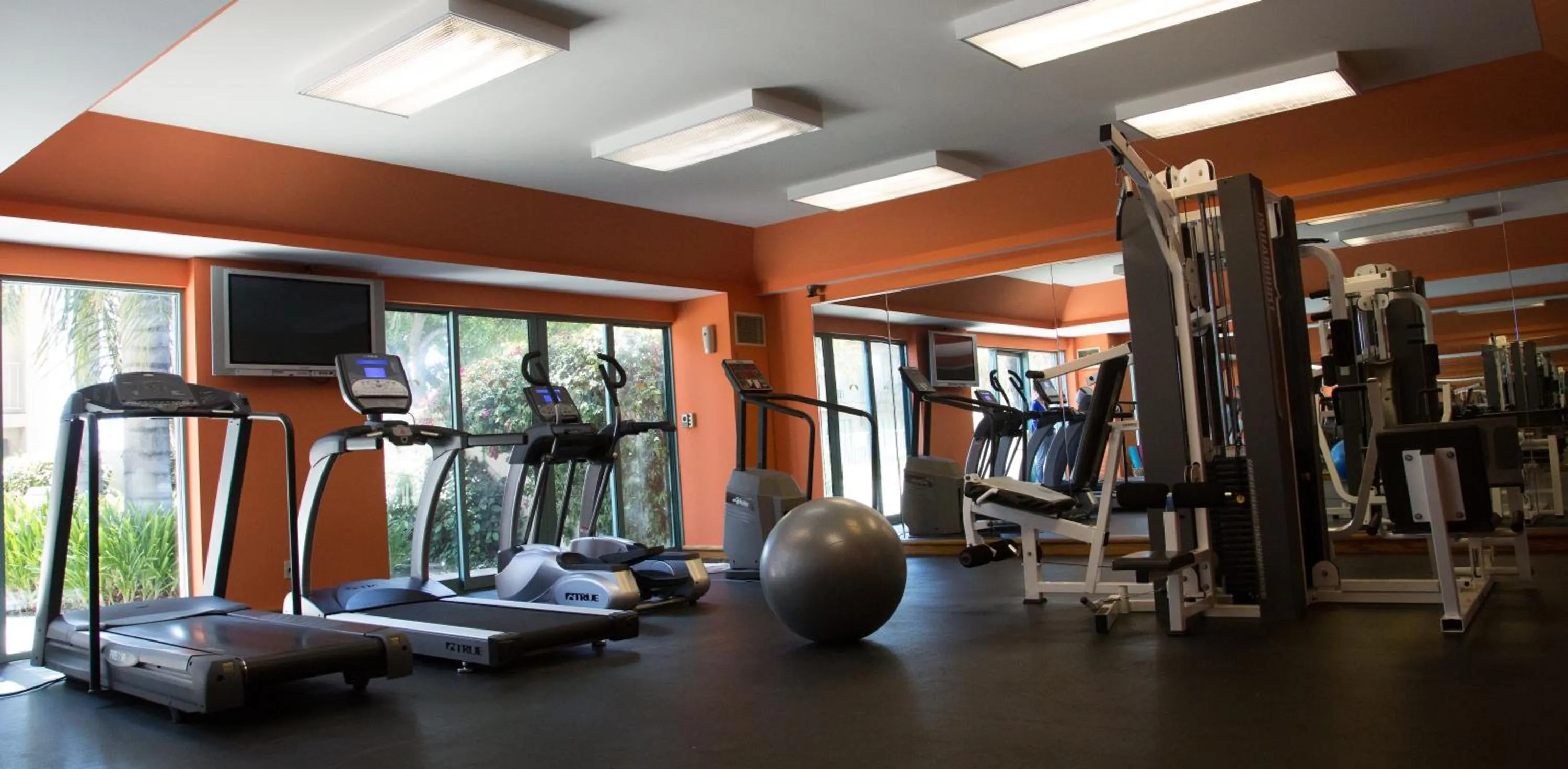 Fitness centre/facilities in Airtel Plaza Hotel