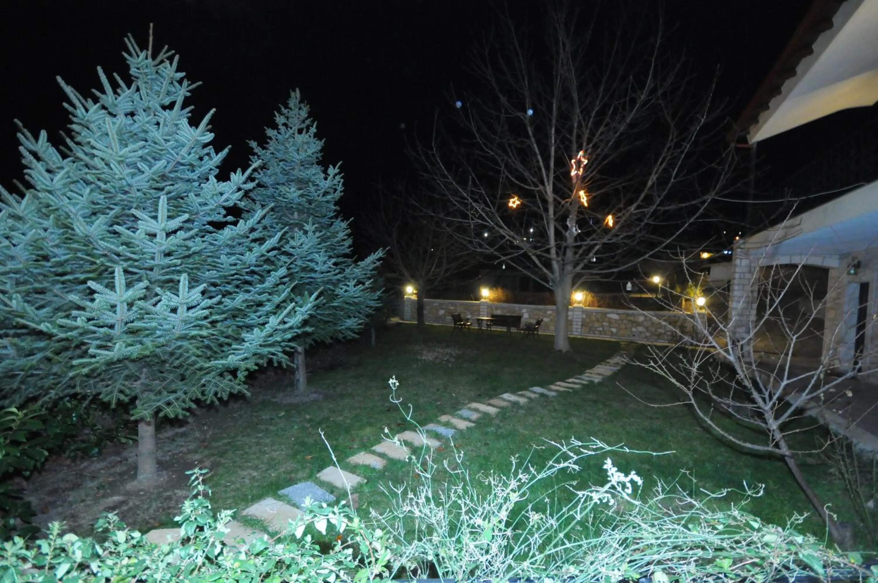 Garden in Margit Suites Hotel