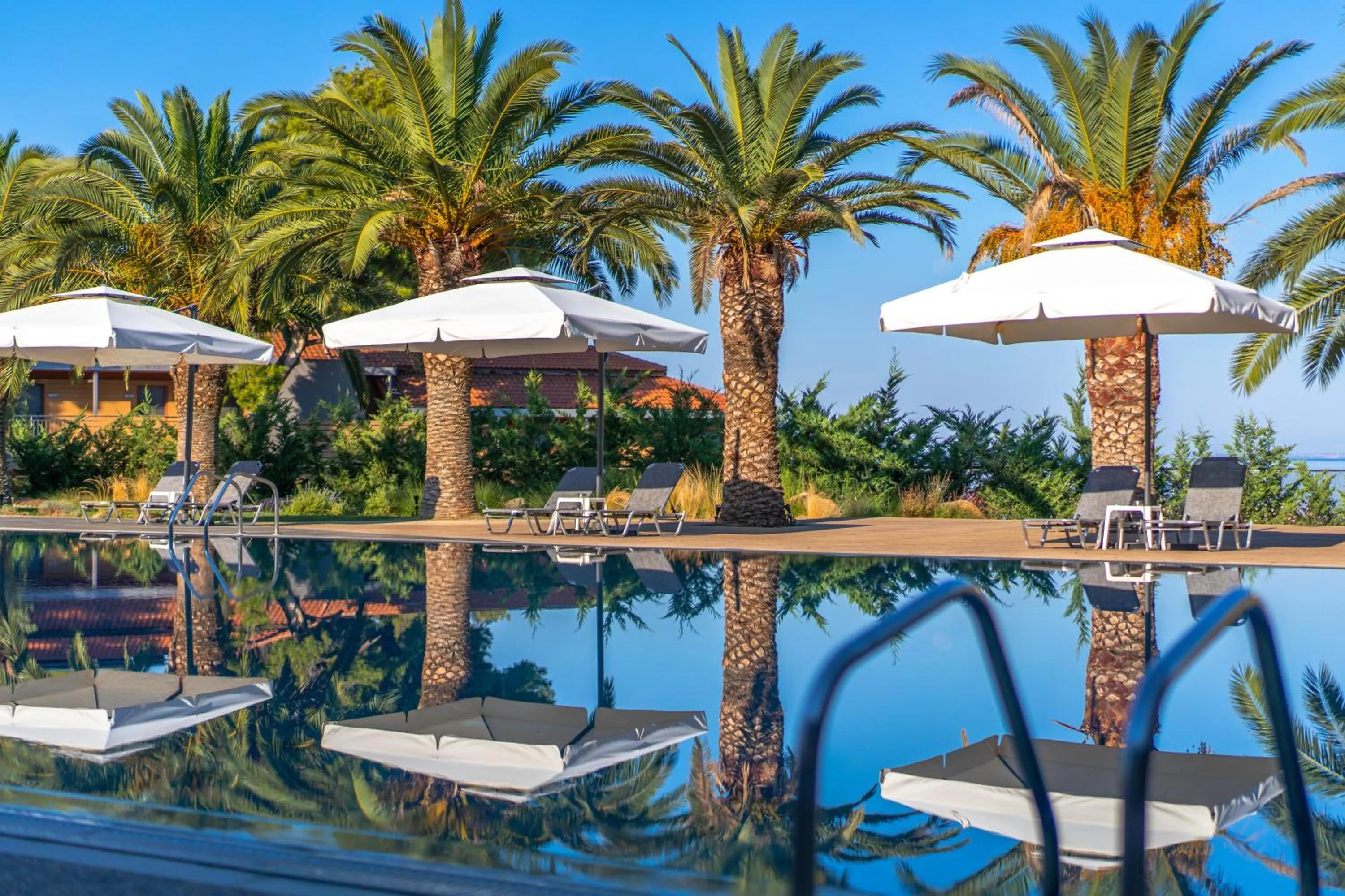 Swimming pool in Blue Dolphin Hotel