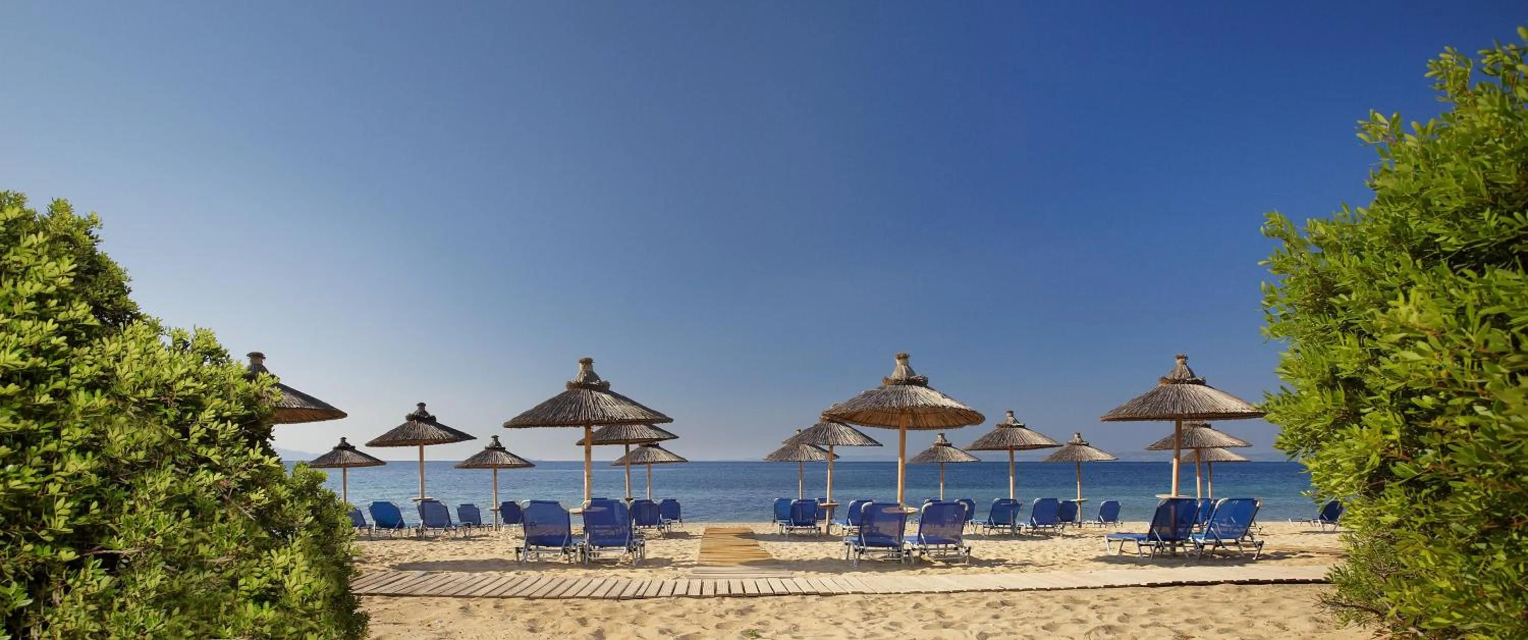 Beach in Blue Dolphin Hotel