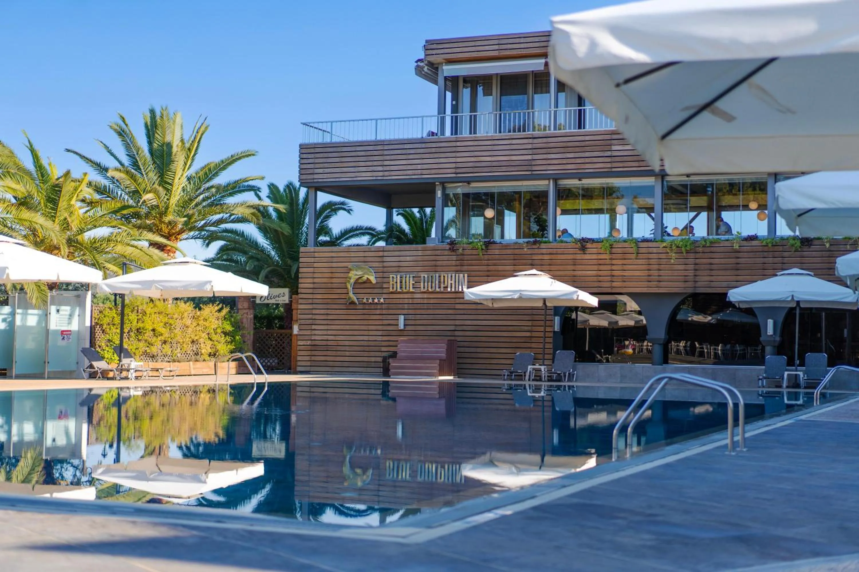 Swimming pool in Blue Dolphin Hotel