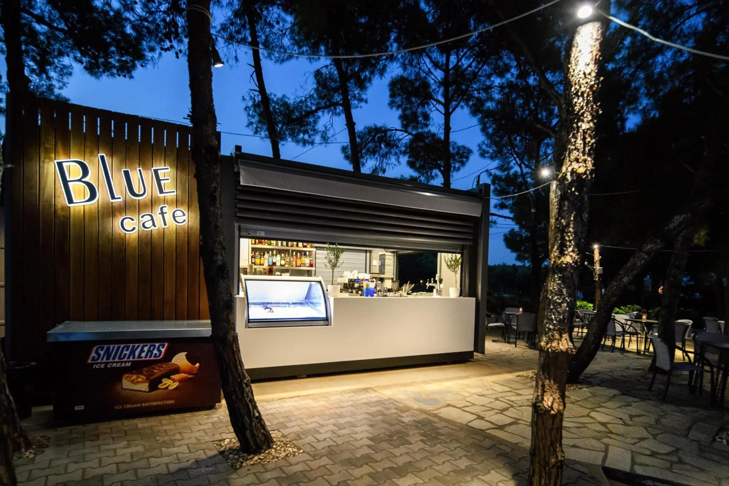 Lounge or bar in Blue Dolphin Hotel