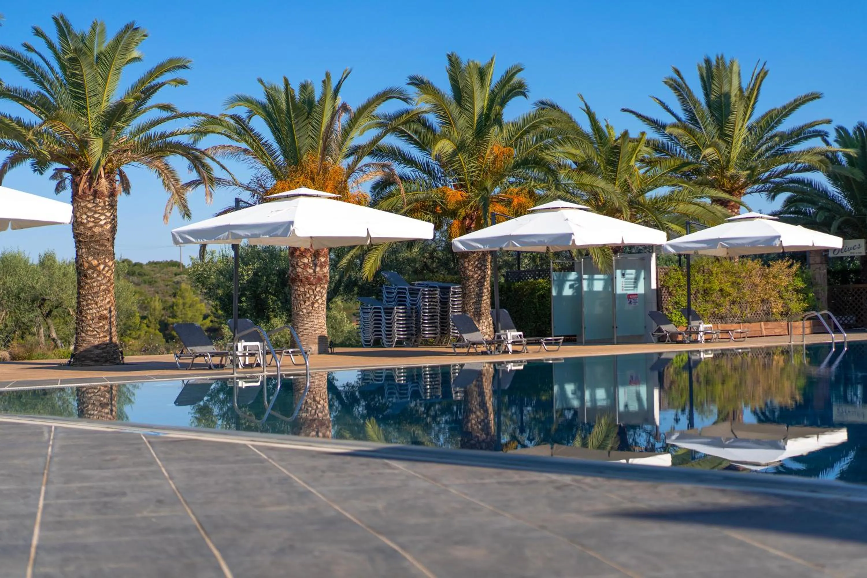 Swimming pool in Blue Dolphin Hotel