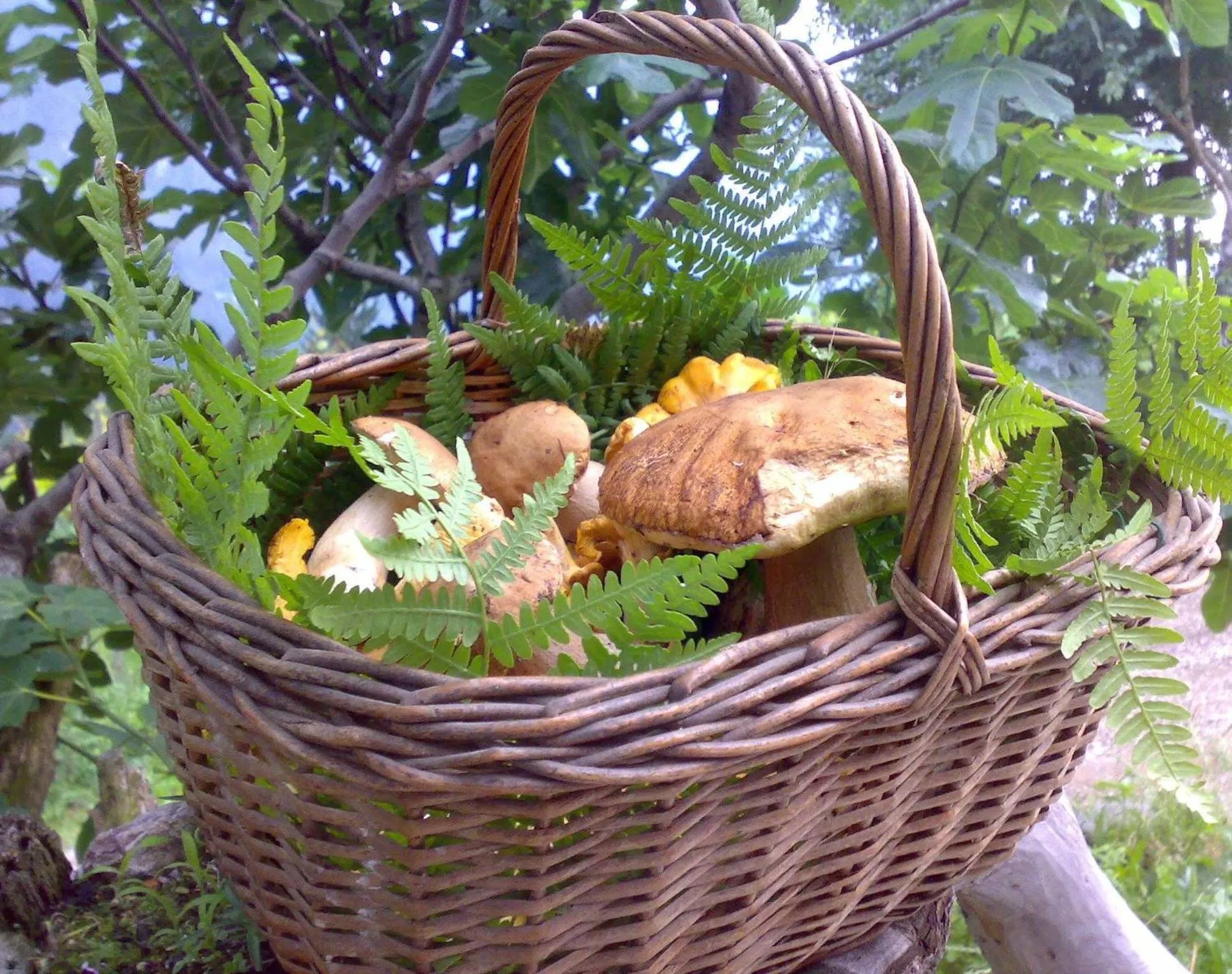 Other in Residence Garnì Il Giglio