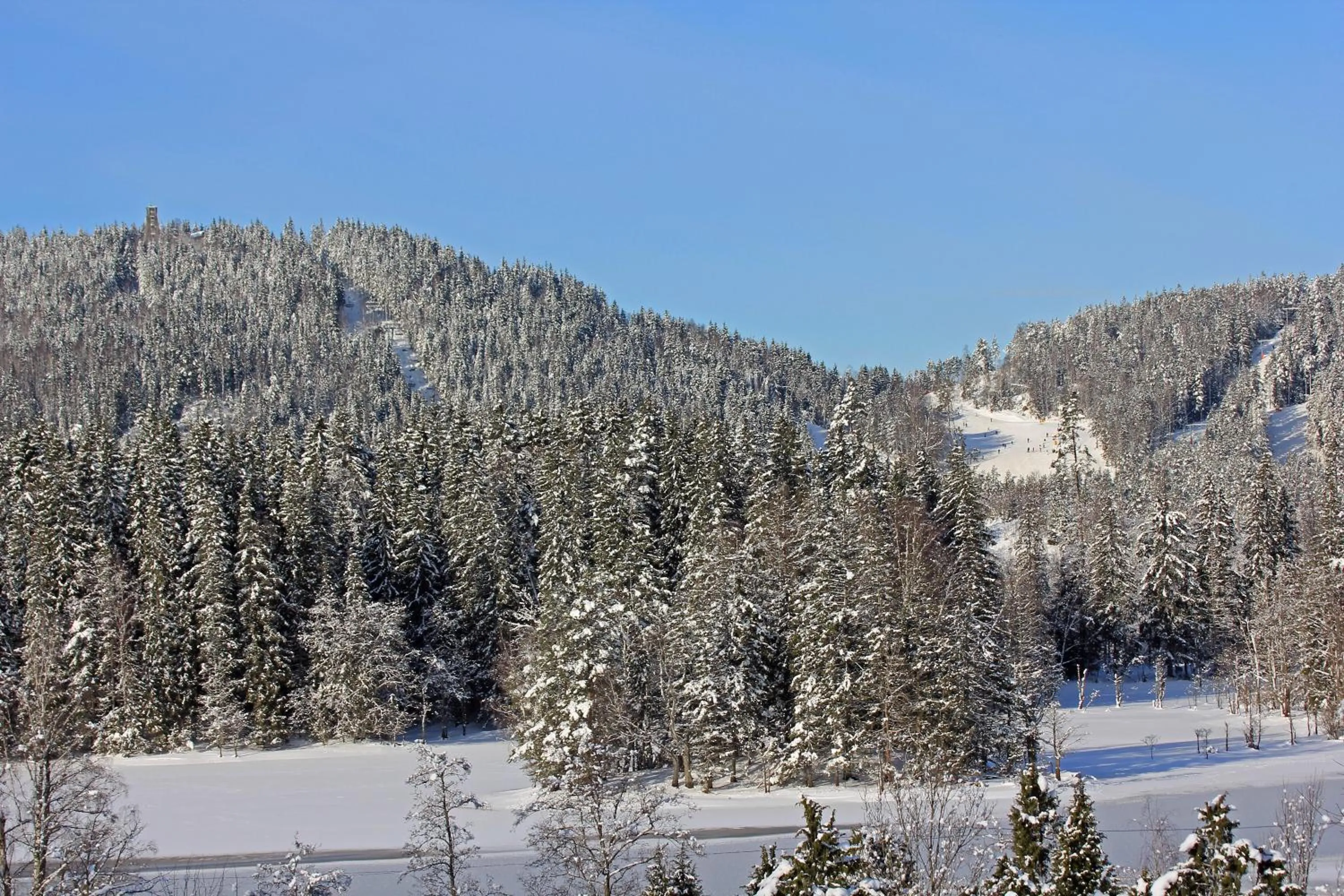 Natural landscape in Hestraviken Hotell & Spa