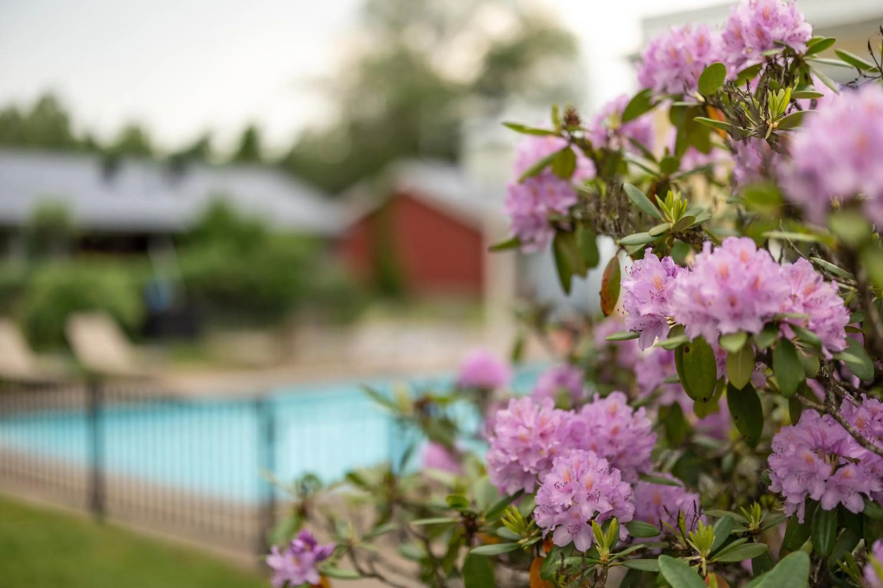 Property building in Hestraviken Hotell & Spa