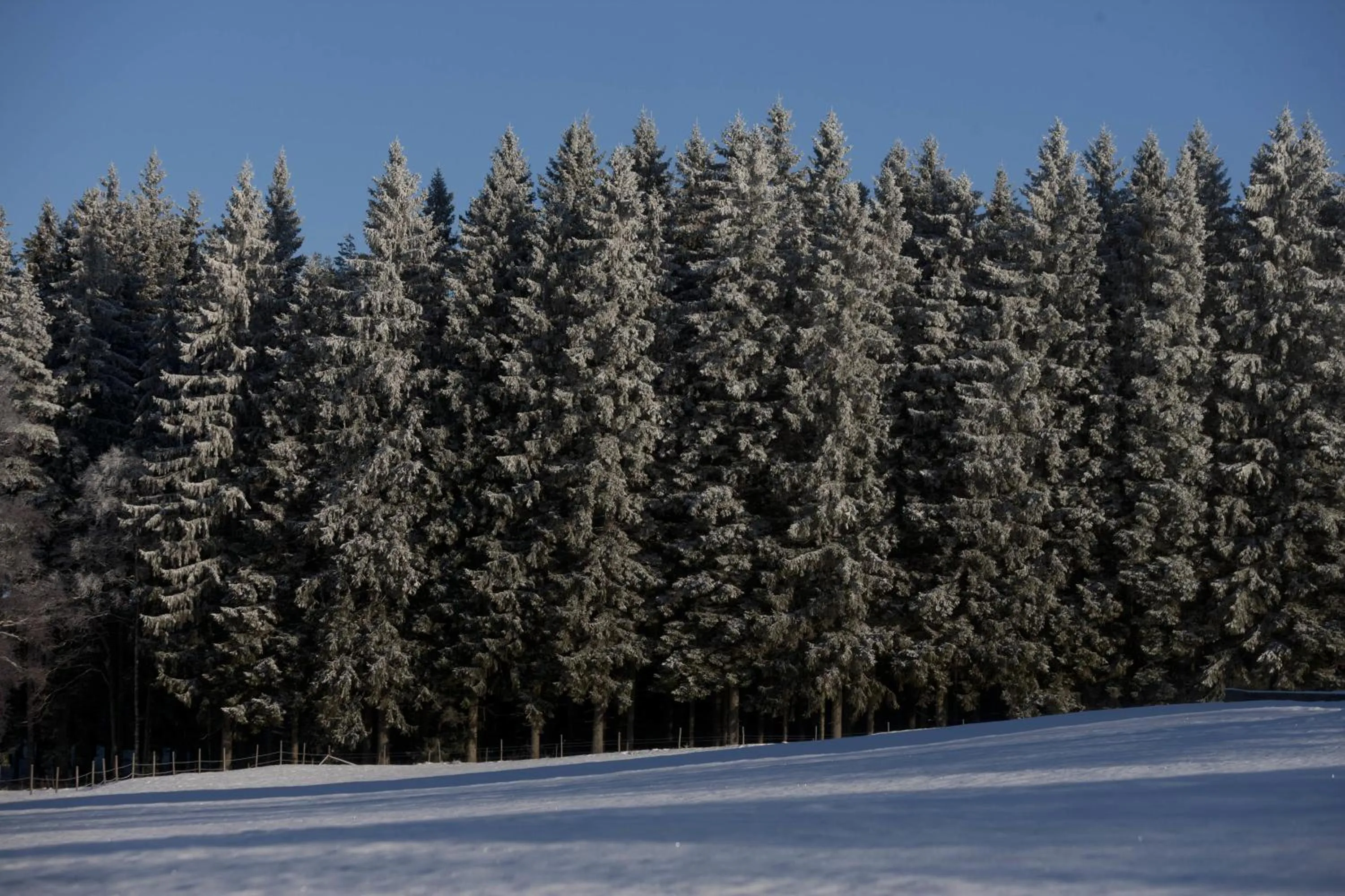 Winter in Hestraviken Hotell & Spa