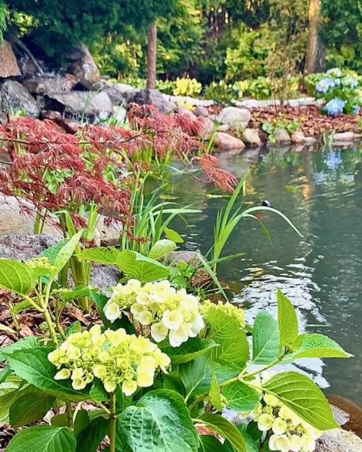 Garden in Hotel Dworek***