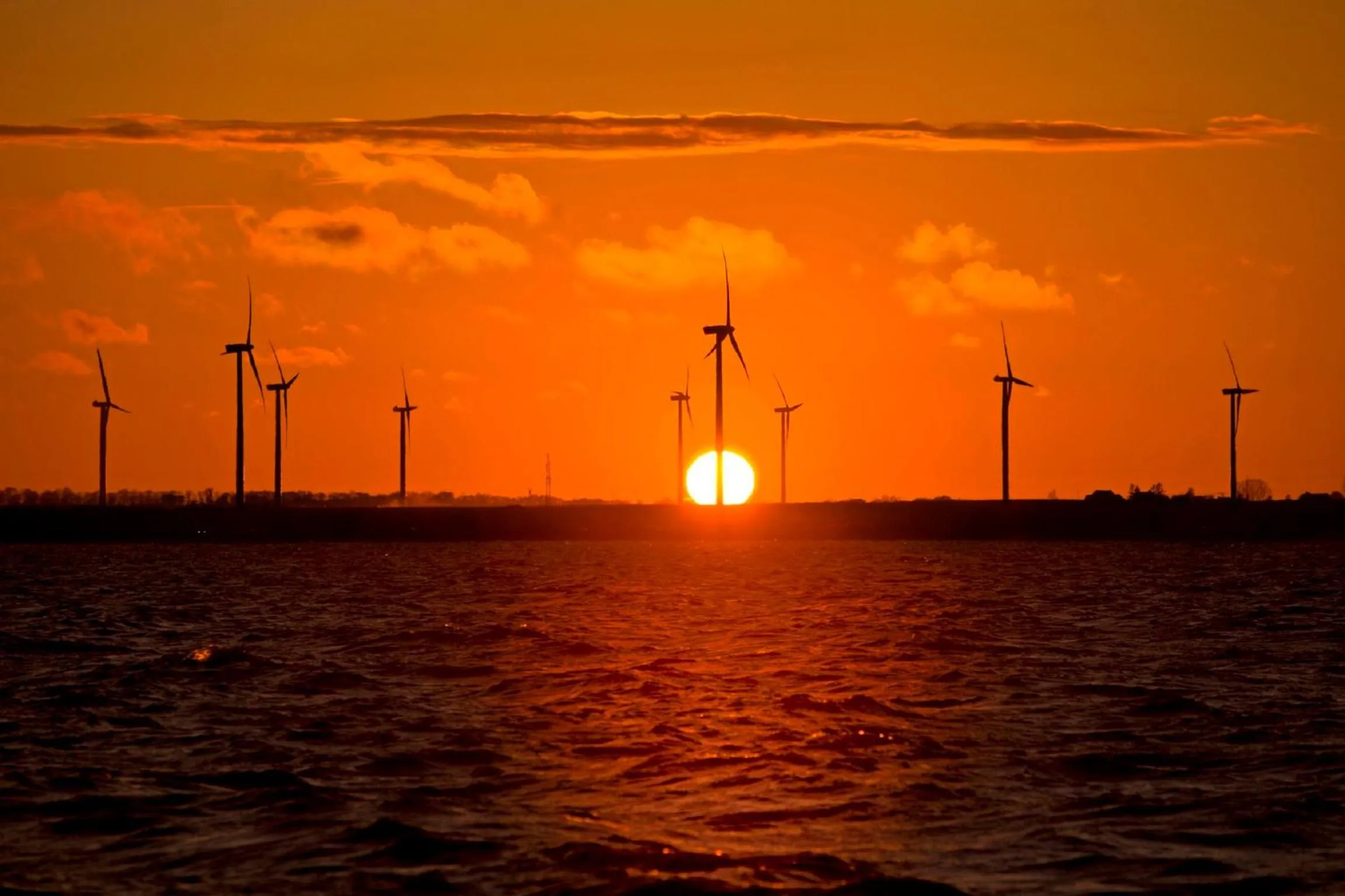 Beach in Great Polonia Beach & Molo