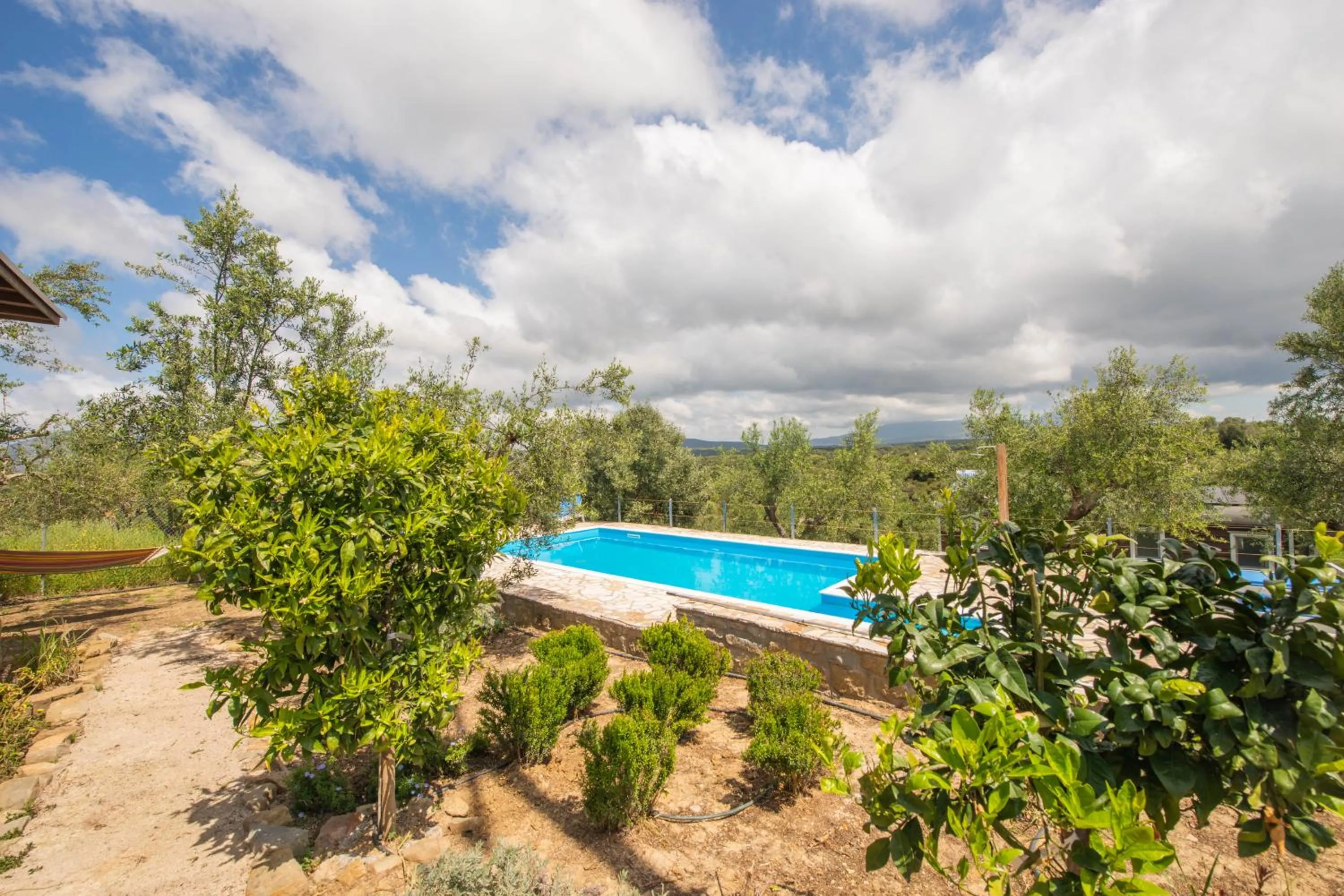 Pool view in Hakuna Matata Holidays Agalia with airco & pool in Greek Olive Grove