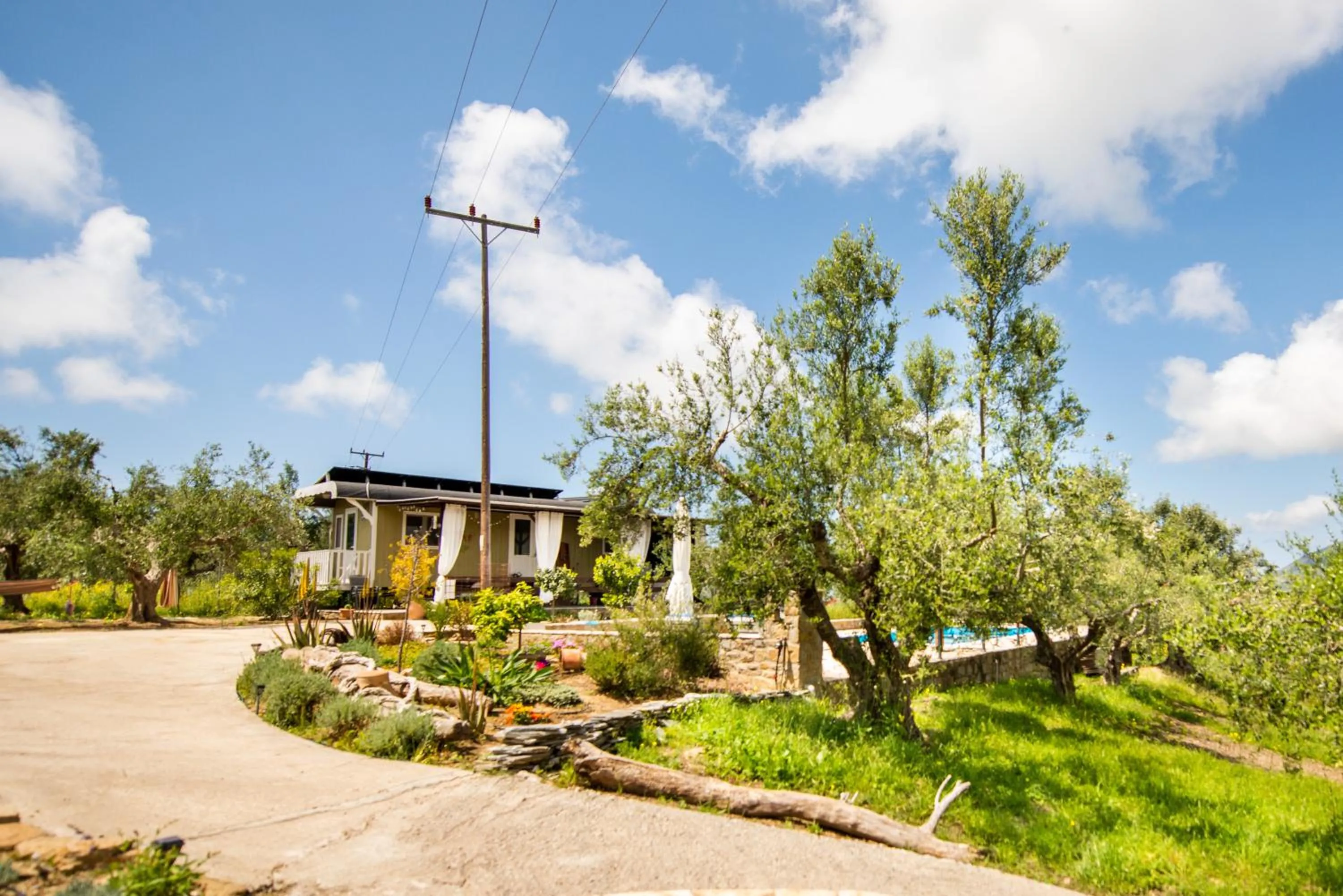 Property building in Hakuna Matata Holidays Agalia with airco & pool in Greek Olive Grove