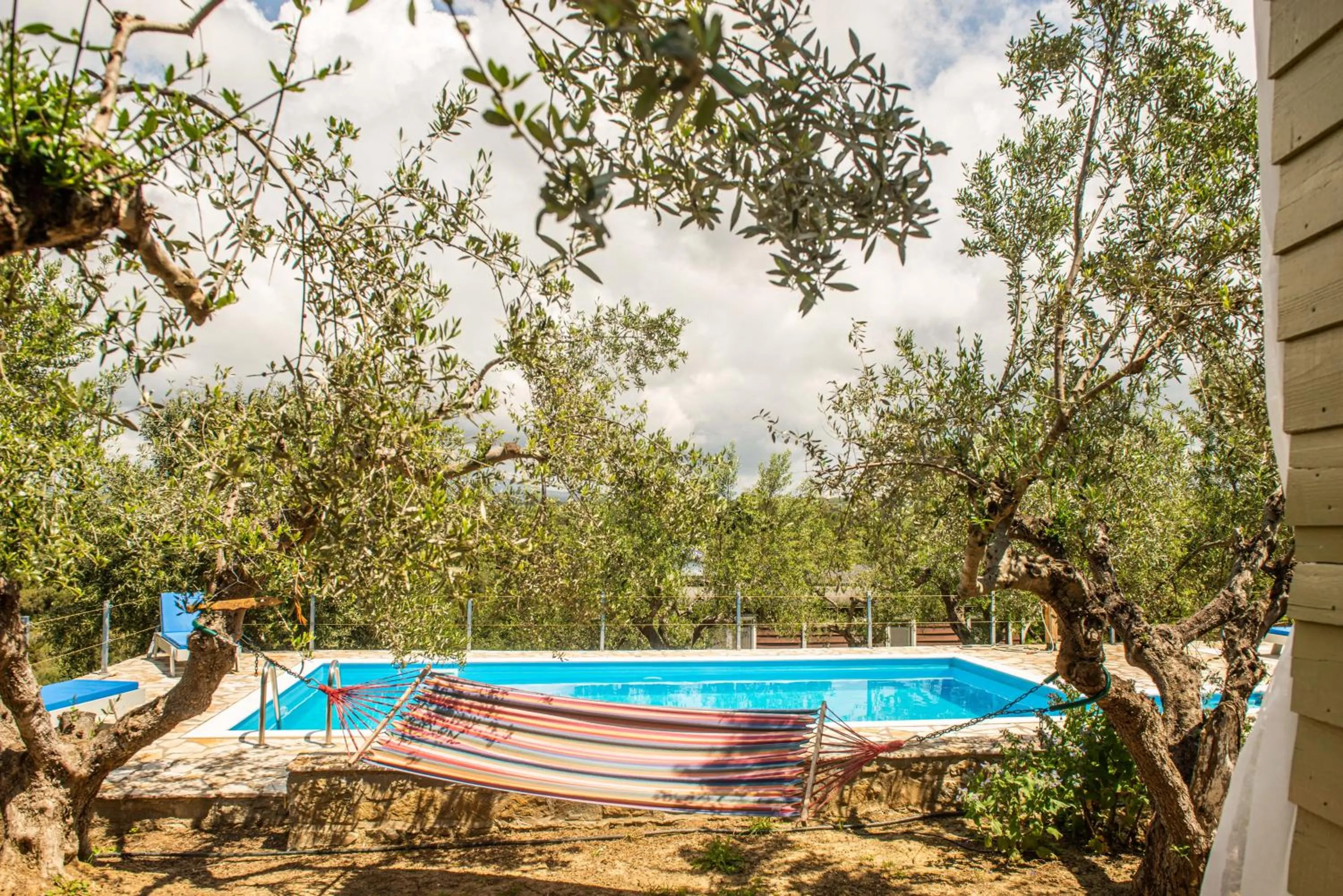 Swimming pool in Hakuna Matata Holidays Agalia with airco & pool in Greek Olive Grove