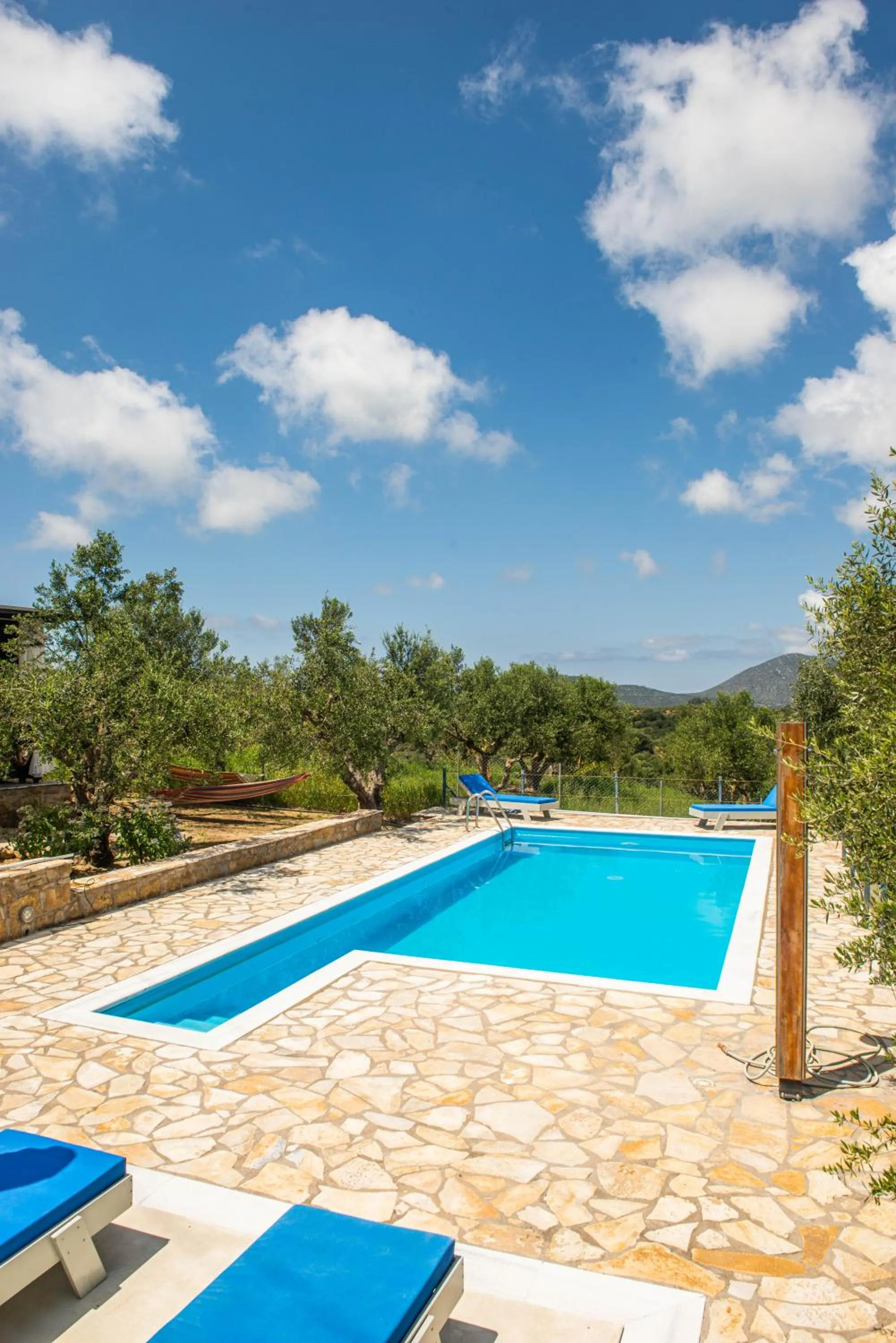 Swimming pool in Hakuna Matata Holidays Agalia with airco & pool in Greek Olive Grove