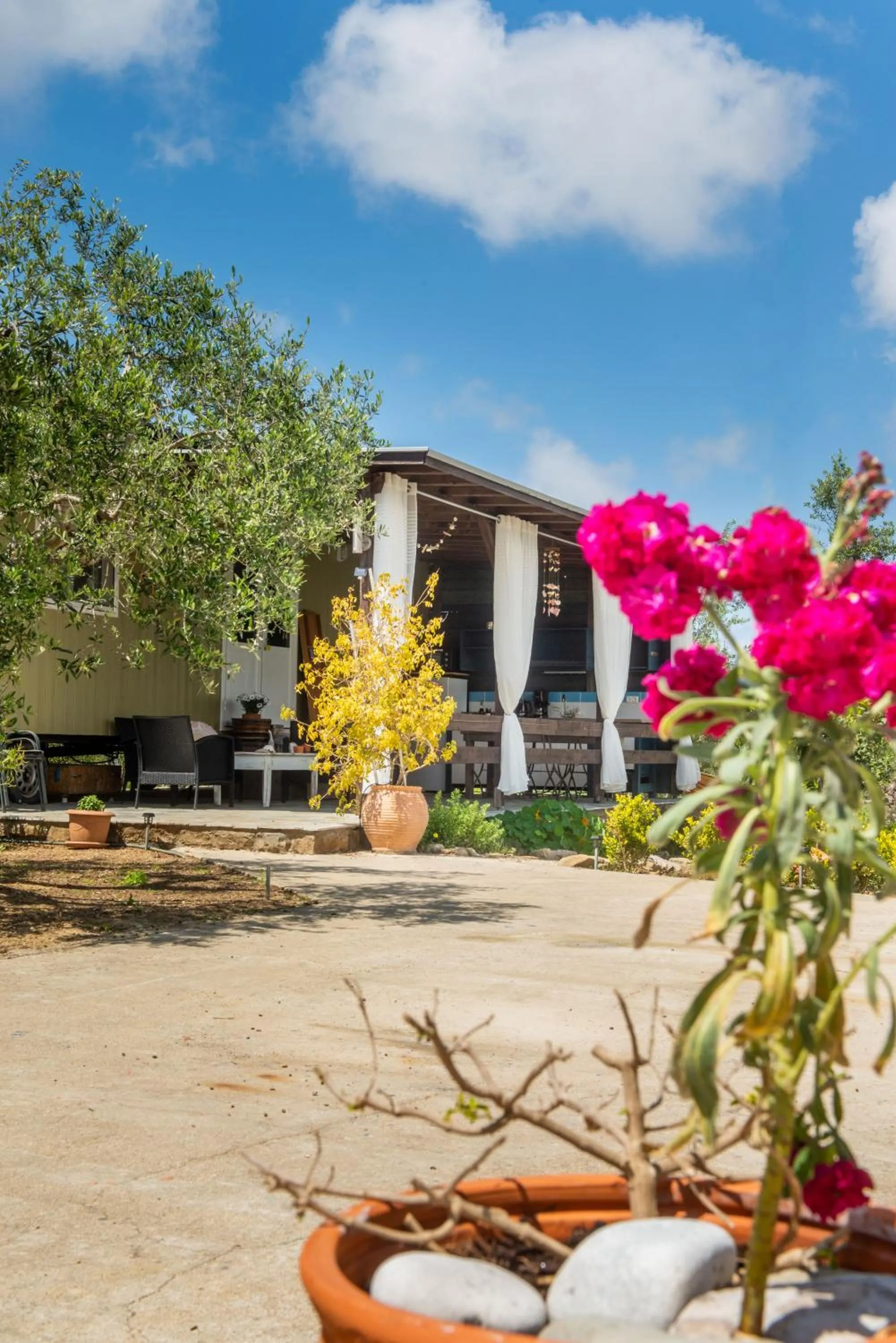 Property building in Hakuna Matata Holidays Agalia with airco & pool in Greek Olive Grove